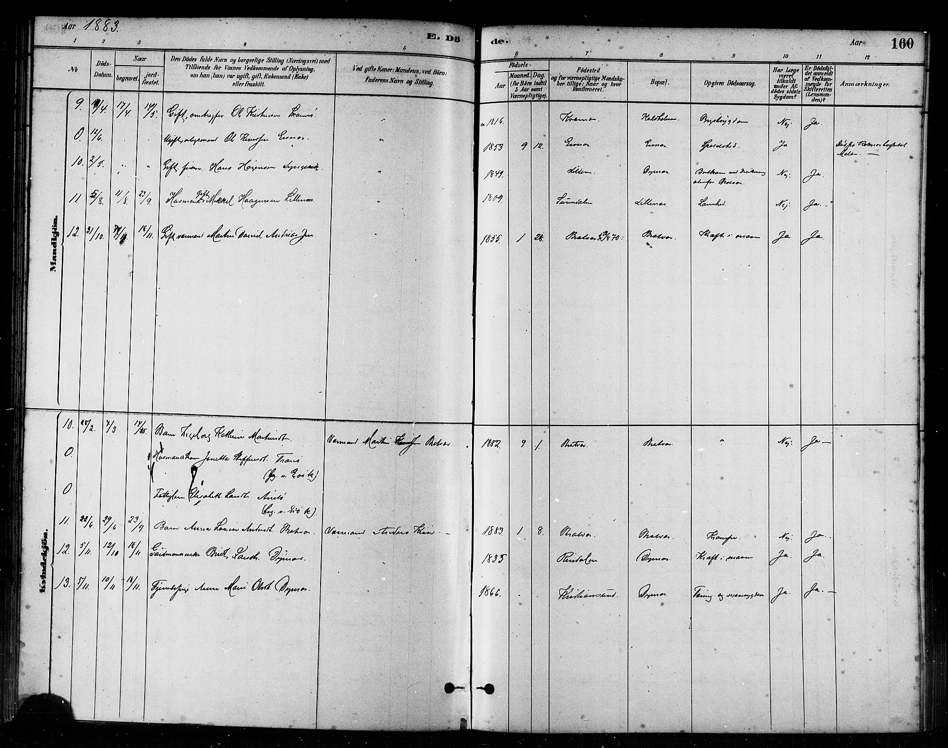 Ministerialprotokoller, klokkerbøker og fødselsregistre - Møre og Romsdal, AV/SAT-A-1454/582/L0947: Ministerialbok nr. 582A01, 1880-1900, s. 160