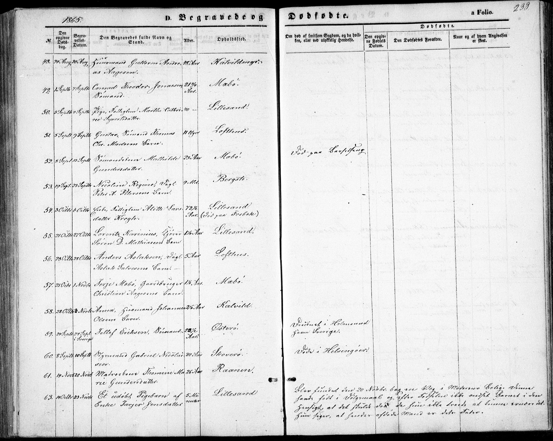 Vestre Moland sokneprestkontor, AV/SAK-1111-0046/F/Fb/Fbb/L0004: Klokkerbok nr. B 4, 1861-1872, s. 238
