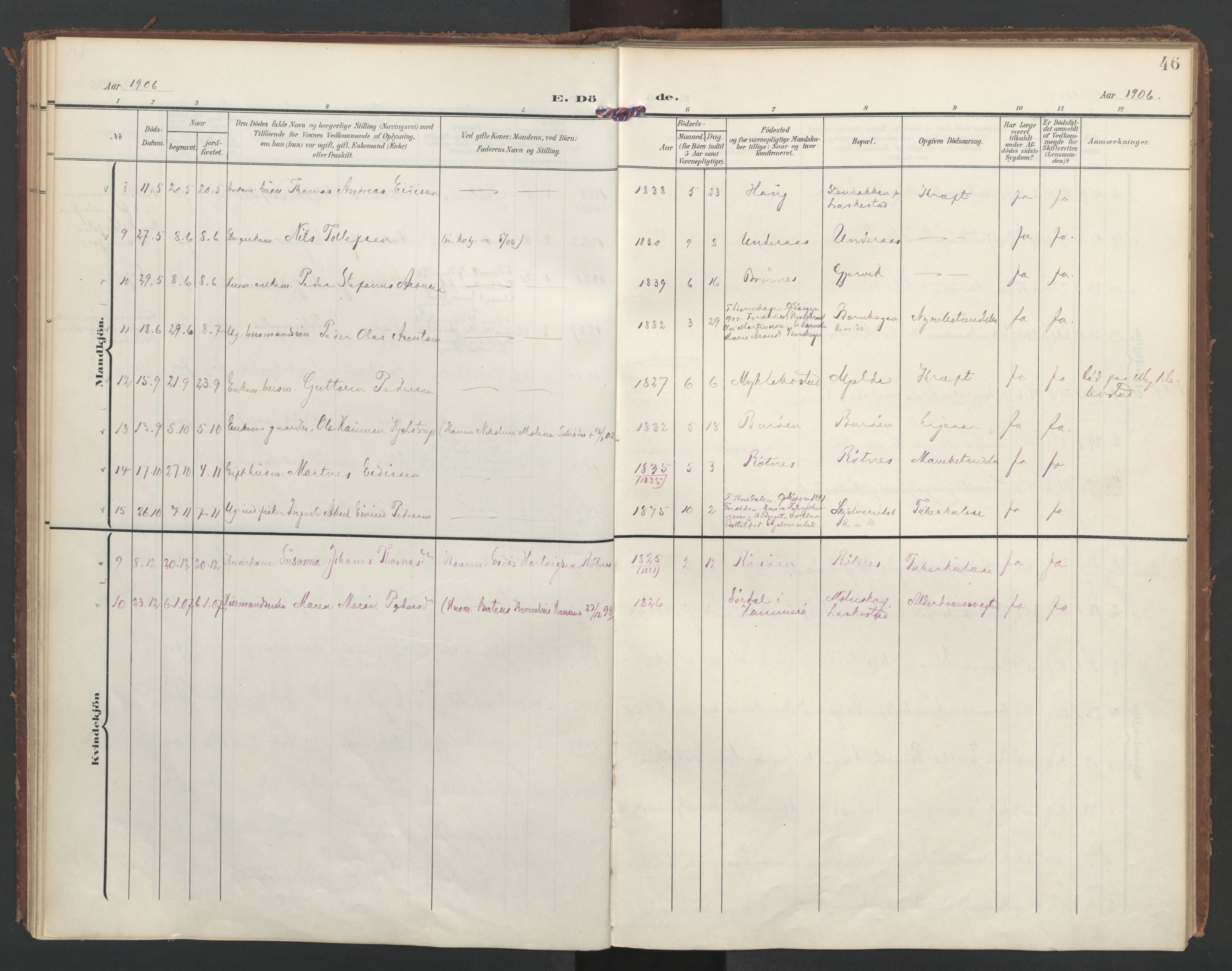 Ministerialprotokoller, klokkerbøker og fødselsregistre - Nordland, AV/SAT-A-1459/855/L0806: Ministerialbok nr. 855A14, 1906-1922, s. 46