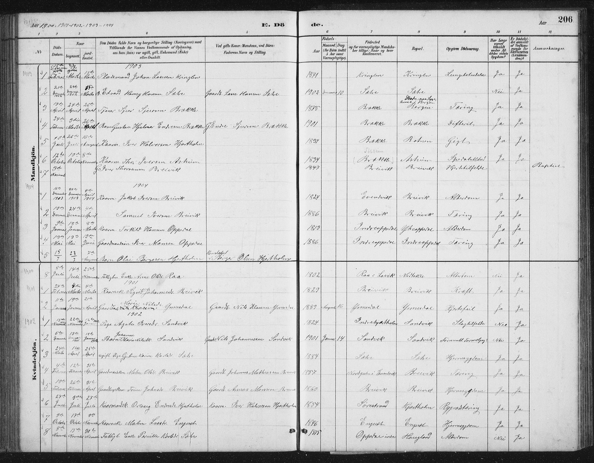 Gulen sokneprestembete, AV/SAB-A-80201/H/Hab/Habc/L0002: Klokkerbok nr. C 2, 1880-1938, s. 206