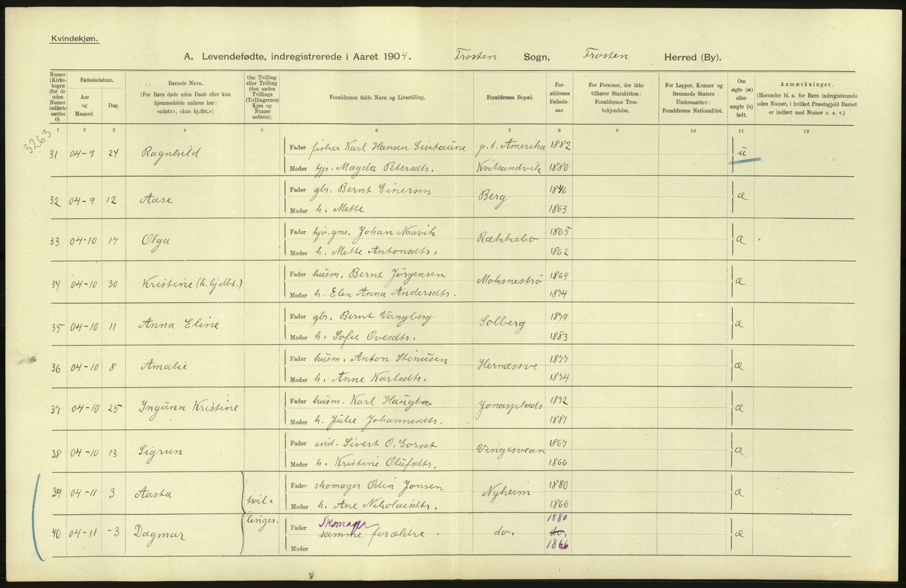 Statistisk sentralbyrå, Sosiodemografiske emner, Befolkning, AV/RA-S-2228/D/Df/Dfa/Dfab/L0019: Nordre Trondhjems amt: Fødte, gifte, døde, 1904, s. 106