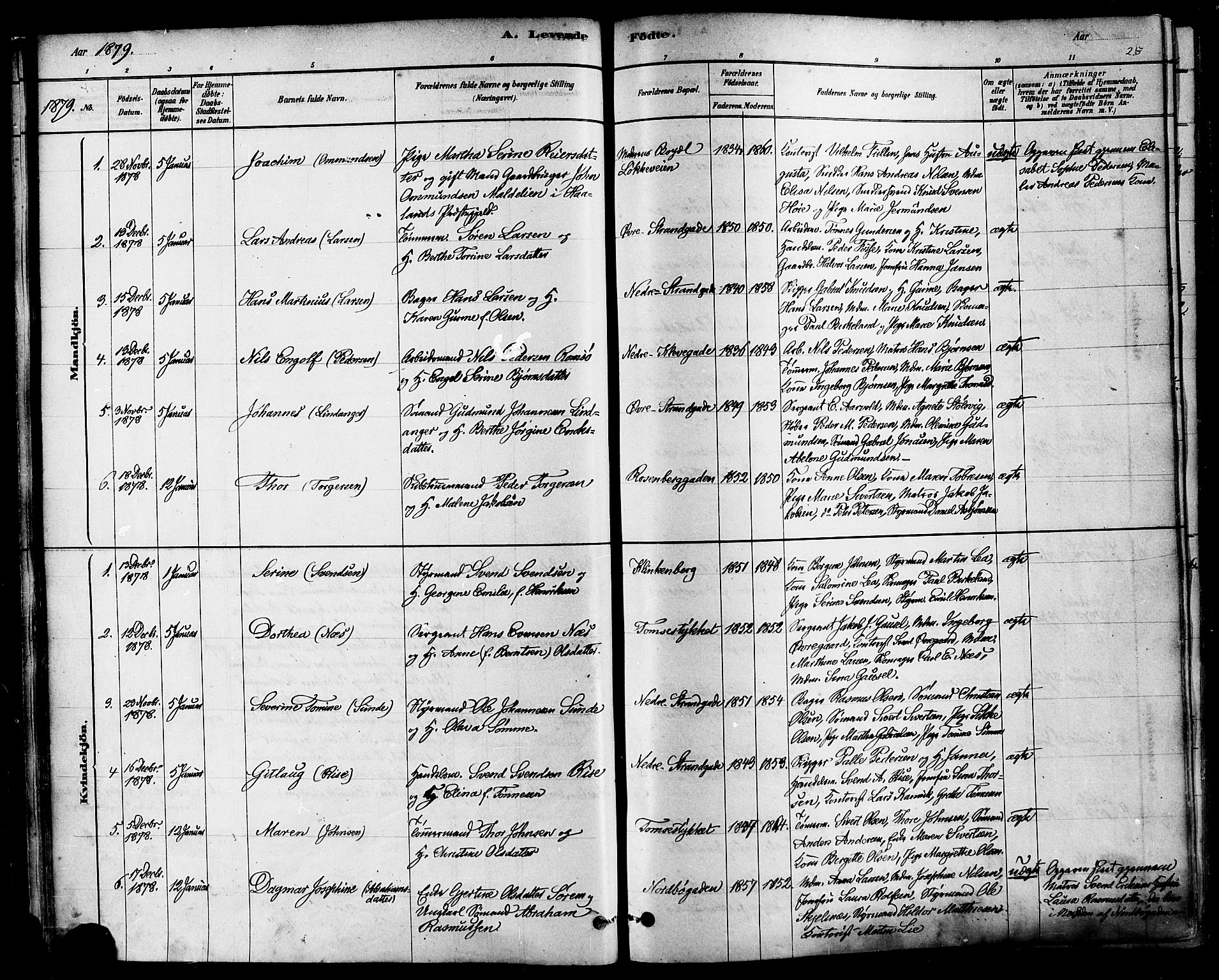 Domkirken sokneprestkontor, AV/SAST-A-101812/001/30/30BA/L0026: Ministerialbok nr. A 25, 1878-1889, s. 25