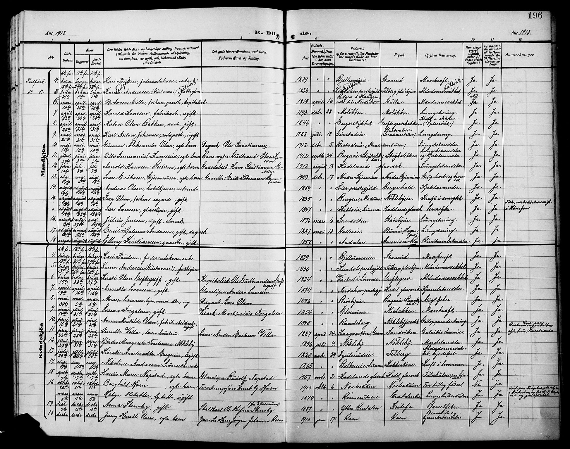 Jevnaker prestekontor, AV/SAH-PREST-116/H/Ha/Hab/L0004: Klokkerbok nr. 4, 1907-1918, s. 196