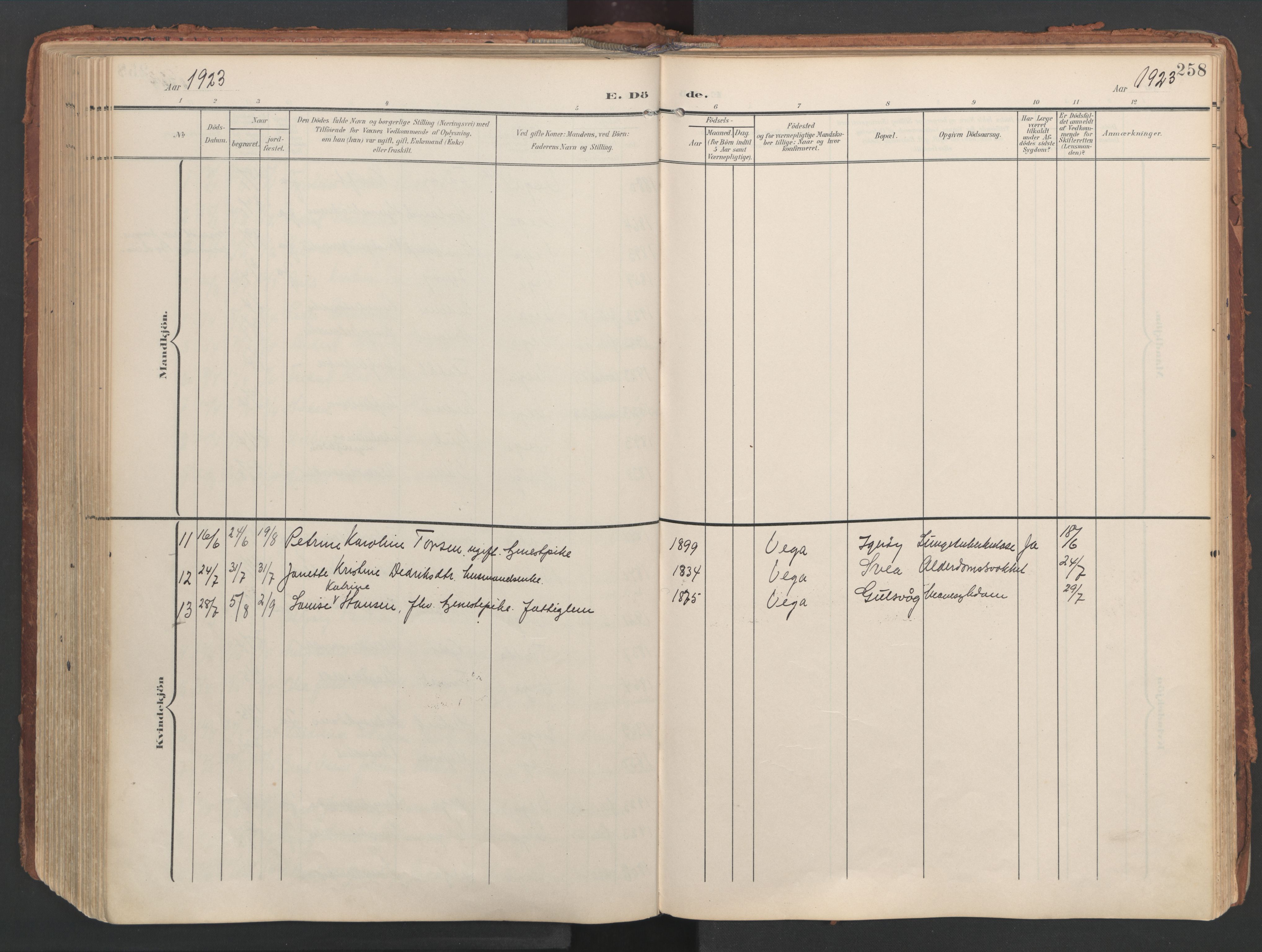 Ministerialprotokoller, klokkerbøker og fødselsregistre - Nordland, AV/SAT-A-1459/816/L0250: Ministerialbok nr. 816A16, 1903-1923, s. 258