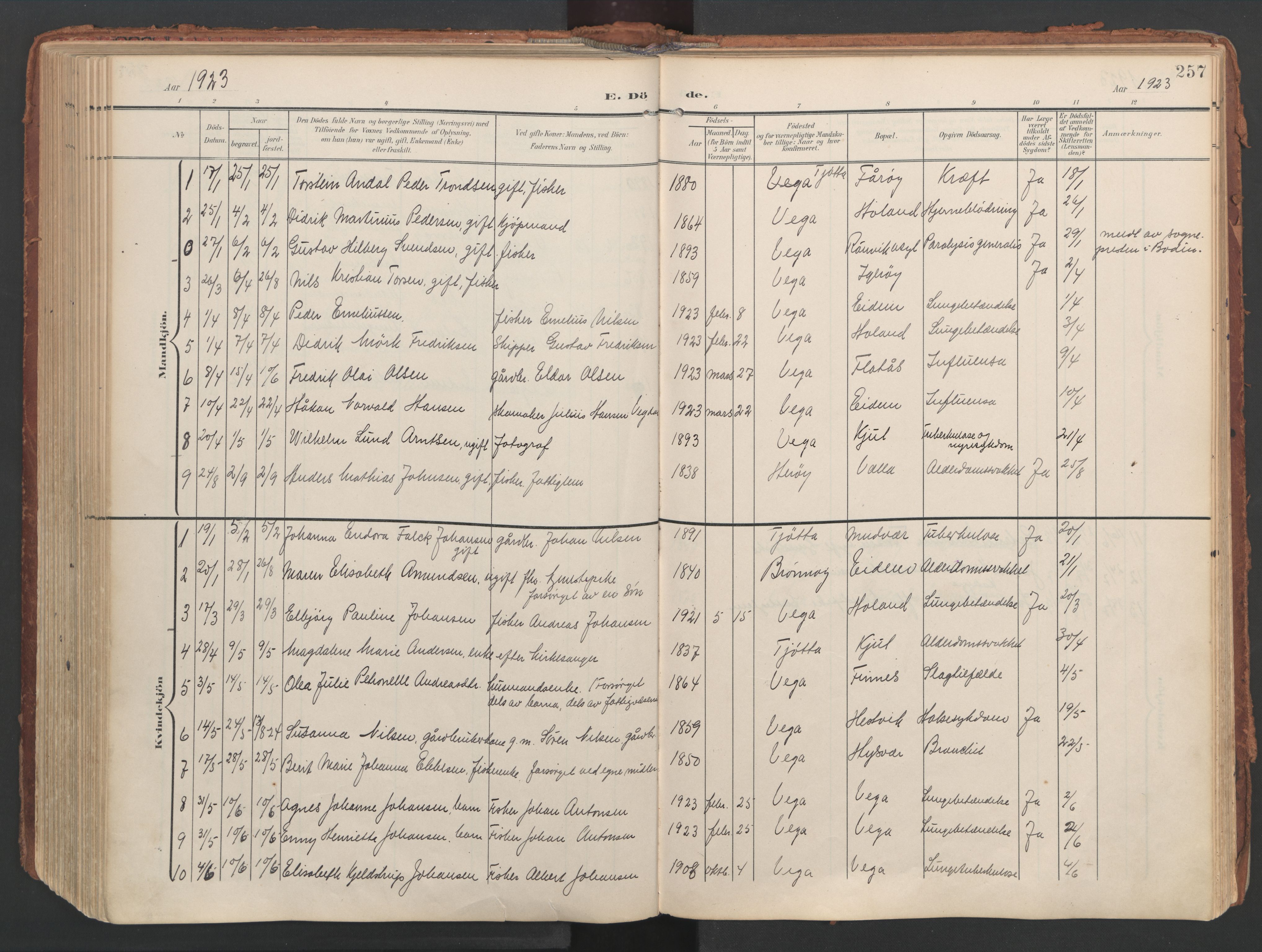 Ministerialprotokoller, klokkerbøker og fødselsregistre - Nordland, AV/SAT-A-1459/816/L0250: Ministerialbok nr. 816A16, 1903-1923, s. 257