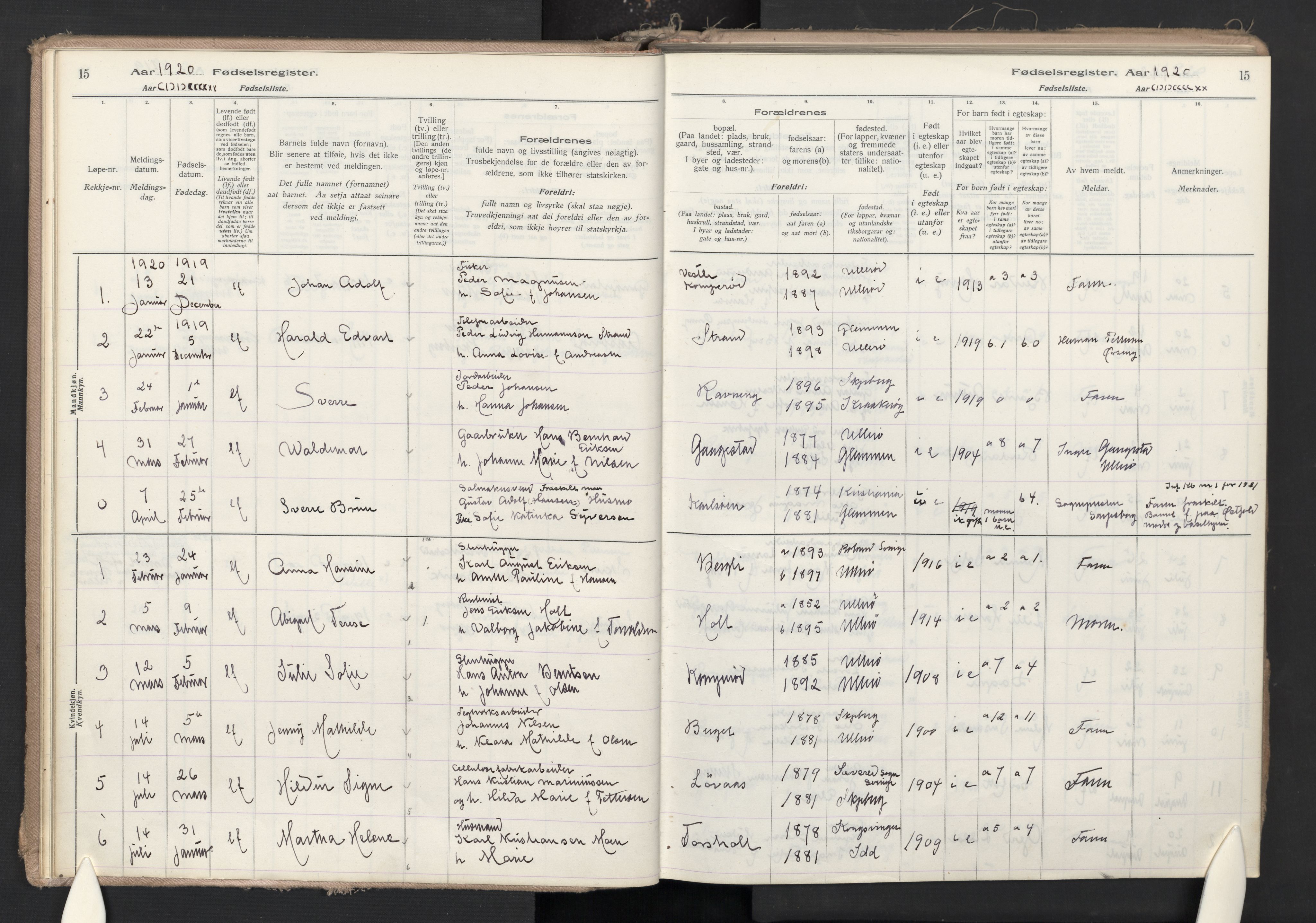 Skjeberg prestekontor Kirkebøker, AV/SAO-A-10923/J/Jb/L0001: Fødselsregister nr. II 1, 1916-1986, s. 15