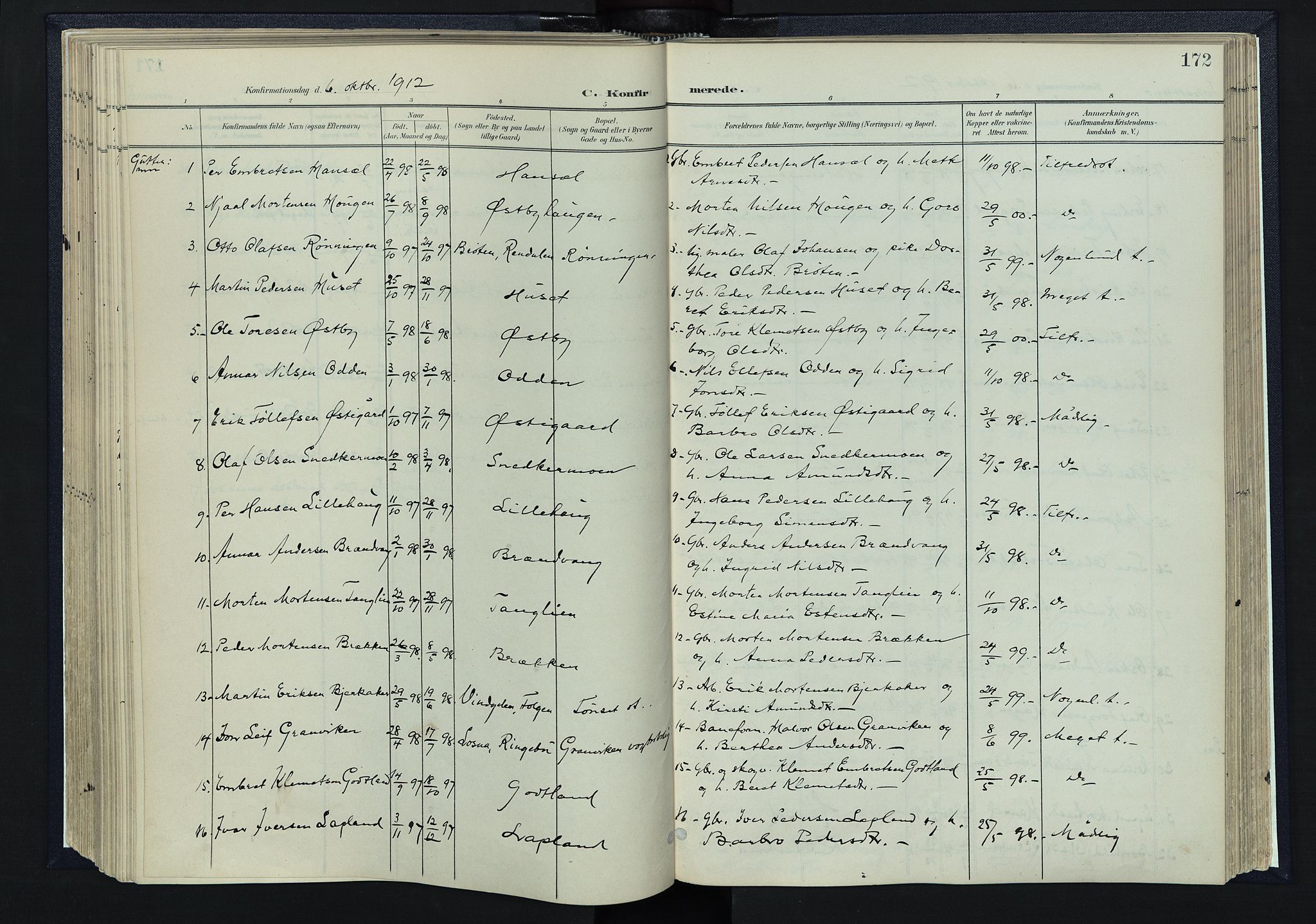 Tynset prestekontor, AV/SAH-PREST-058/H/Ha/Haa/L0025: Ministerialbok nr. 25, 1900-1914, s. 172