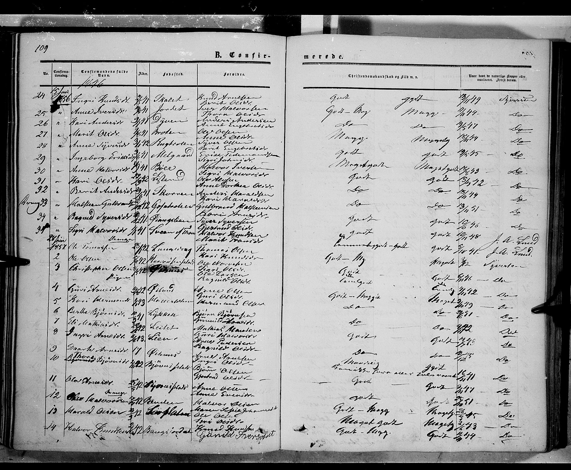 Sør-Aurdal prestekontor, AV/SAH-PREST-128/H/Ha/Haa/L0005: Ministerialbok nr. 5, 1849-1876, s. 109