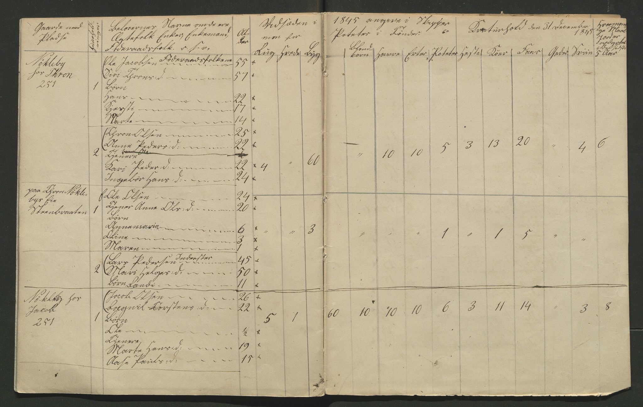 SAH, Lokaliasamlingen for Hedmark og Oppland fylker m.v.: Folketellingen 1845 for Jevnaker prestegjeld, 1845, s. 153