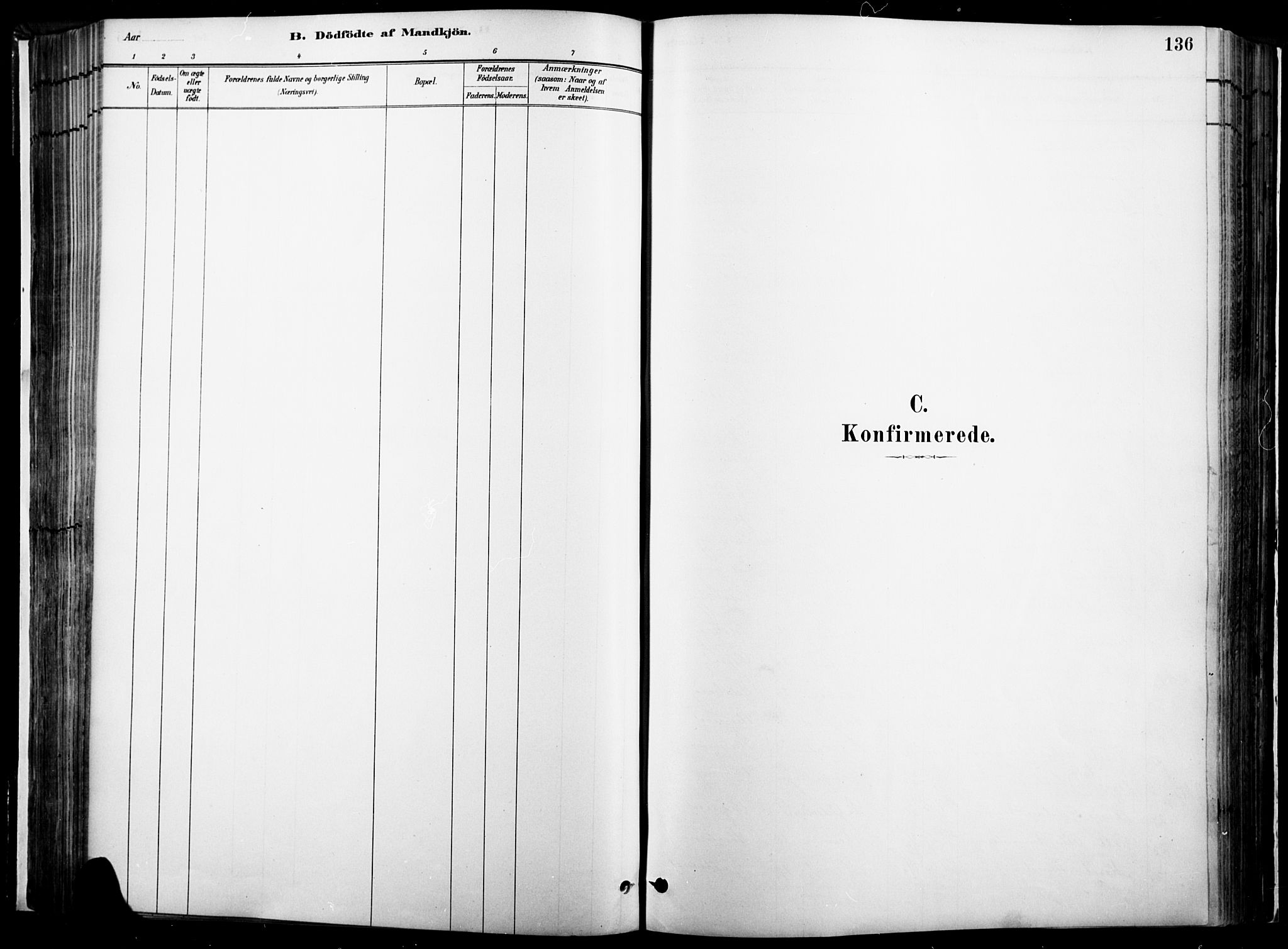 Vinger prestekontor, SAH/PREST-024/H/Ha/Haa/L0014: Ministerialbok nr. 14, 1881-1900, s. 136
