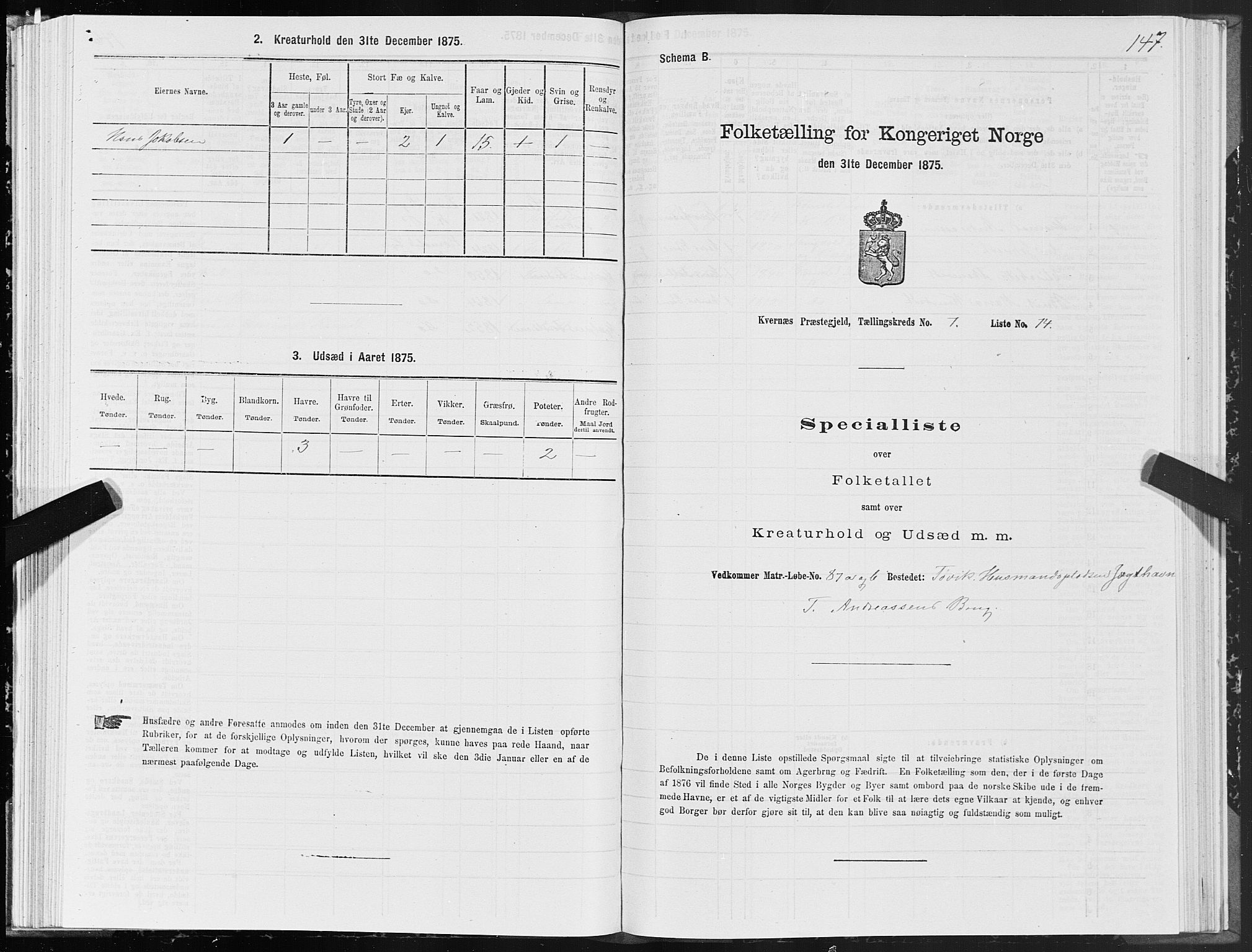 SAT, Folketelling 1875 for 1553P Kvernes prestegjeld, 1875, s. 4147