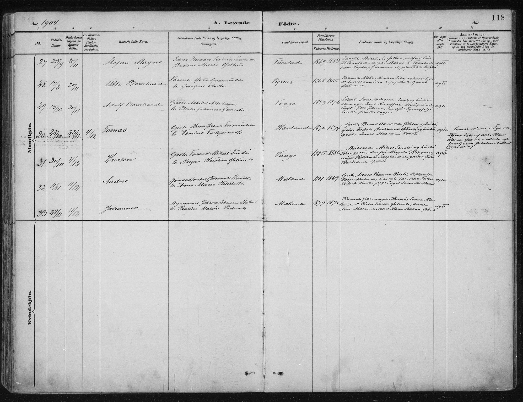 Avaldsnes sokneprestkontor, SAST/A -101851/H/Ha/Haa/L0017: Ministerialbok nr. A 17, 1889-1920, s. 118