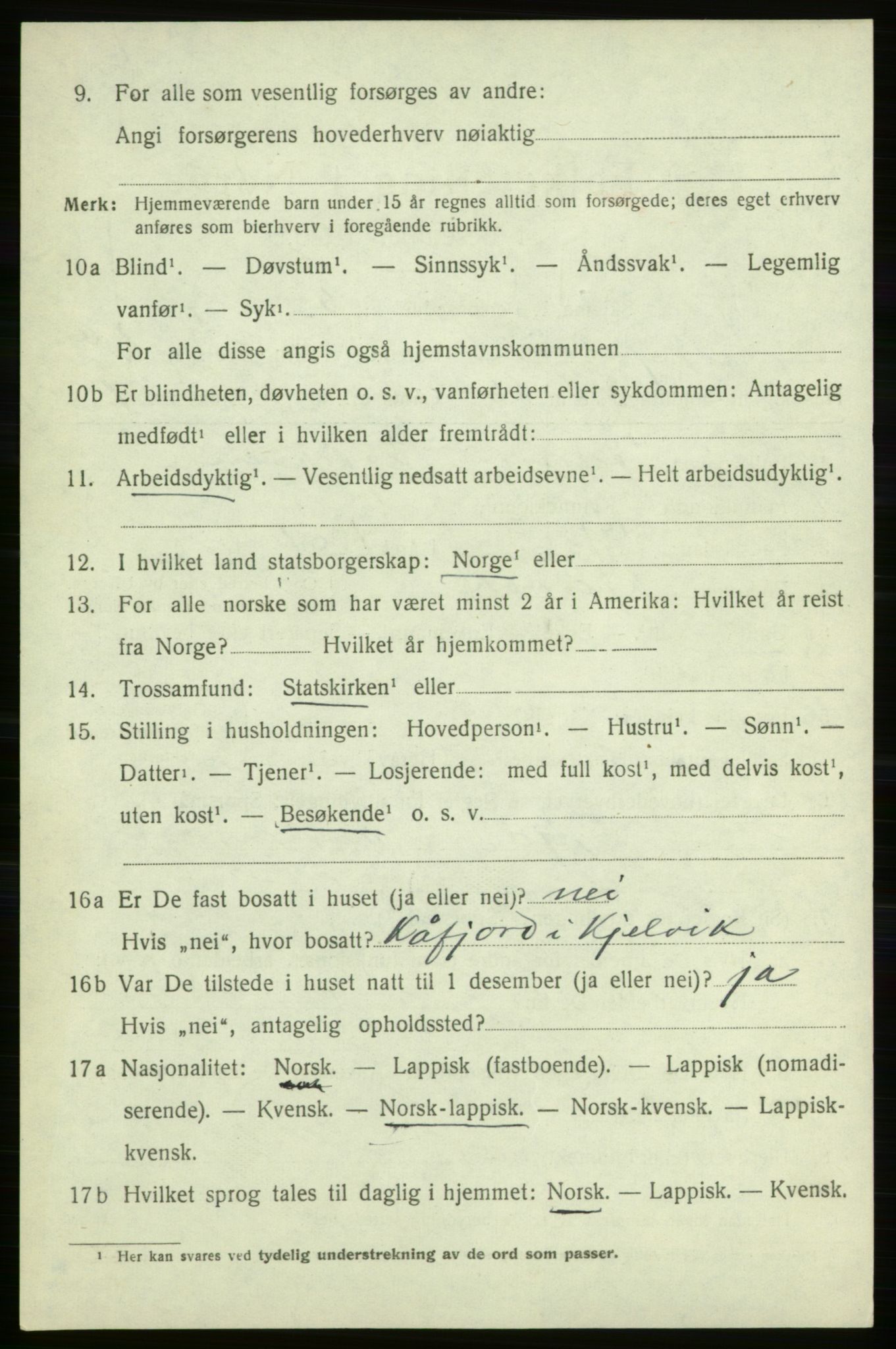 SATØ, Folketelling 1920 for 2019 Kjelvik herred, 1920, s. 4312