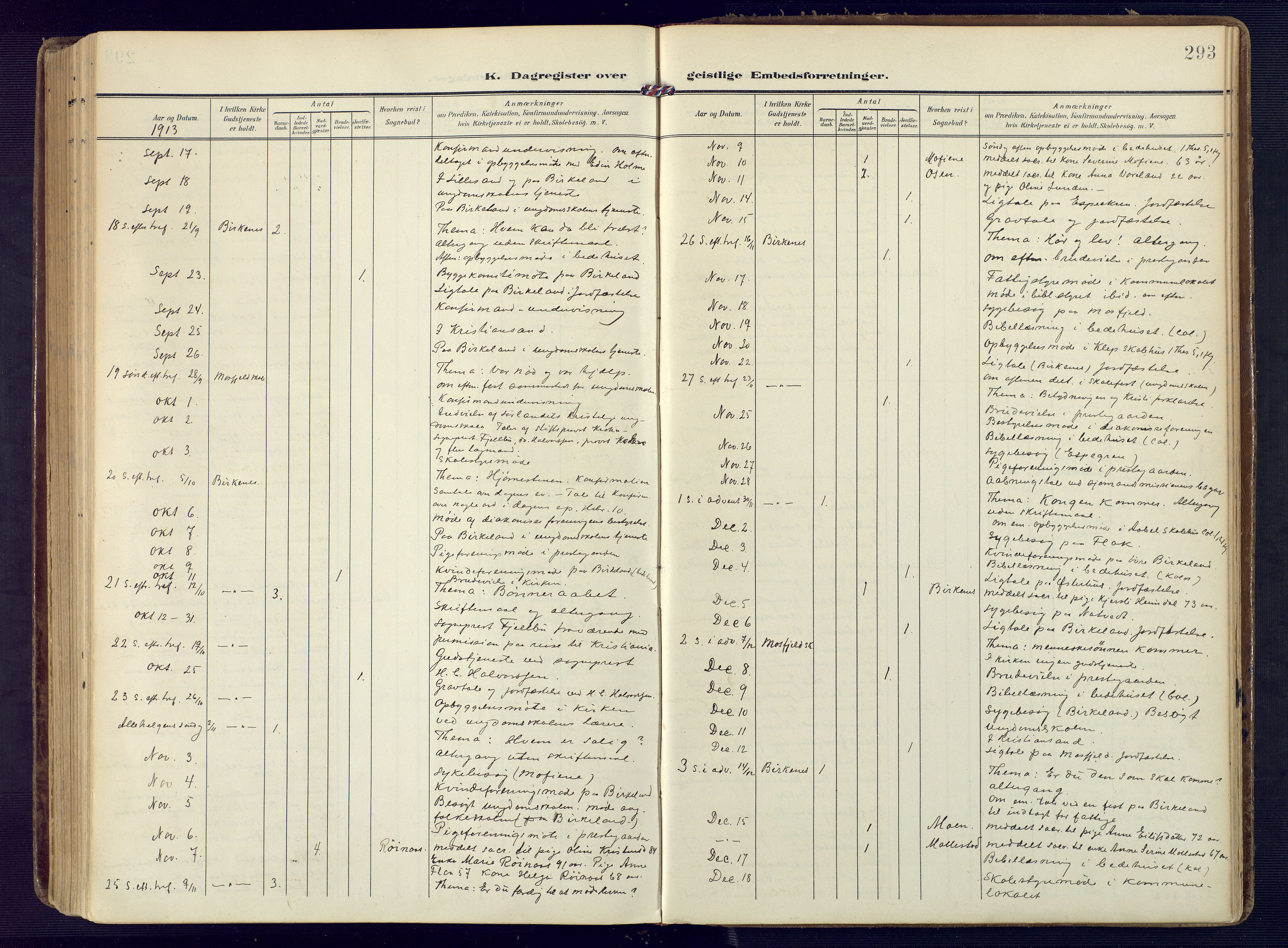 Birkenes sokneprestkontor, AV/SAK-1111-0004/F/Fa/L0006: Ministerialbok nr. A 6, 1908-1932, s. 293