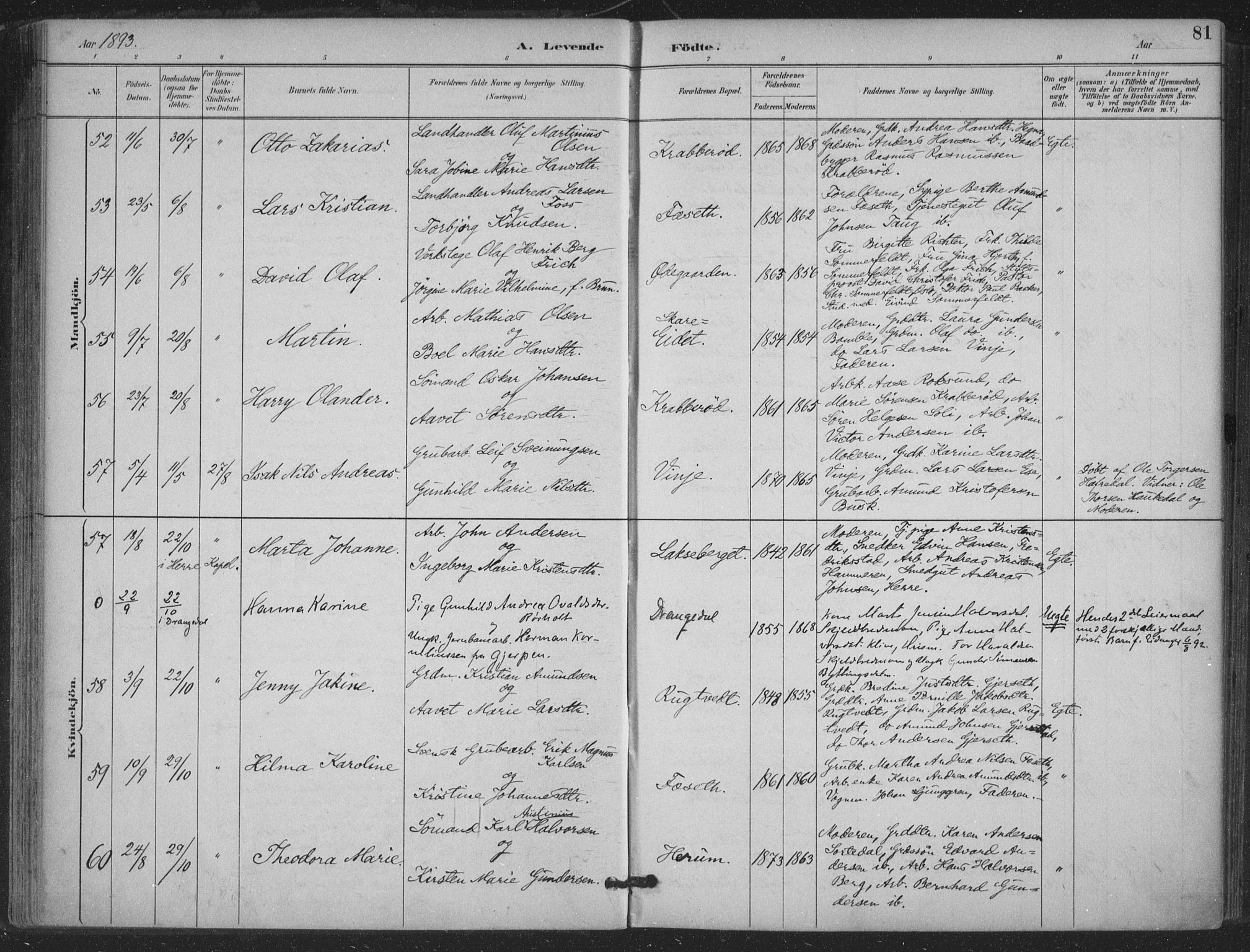 Bamble kirkebøker, AV/SAKO-A-253/F/Fa/L0008: Ministerialbok nr. I 8, 1888-1900, s. 81