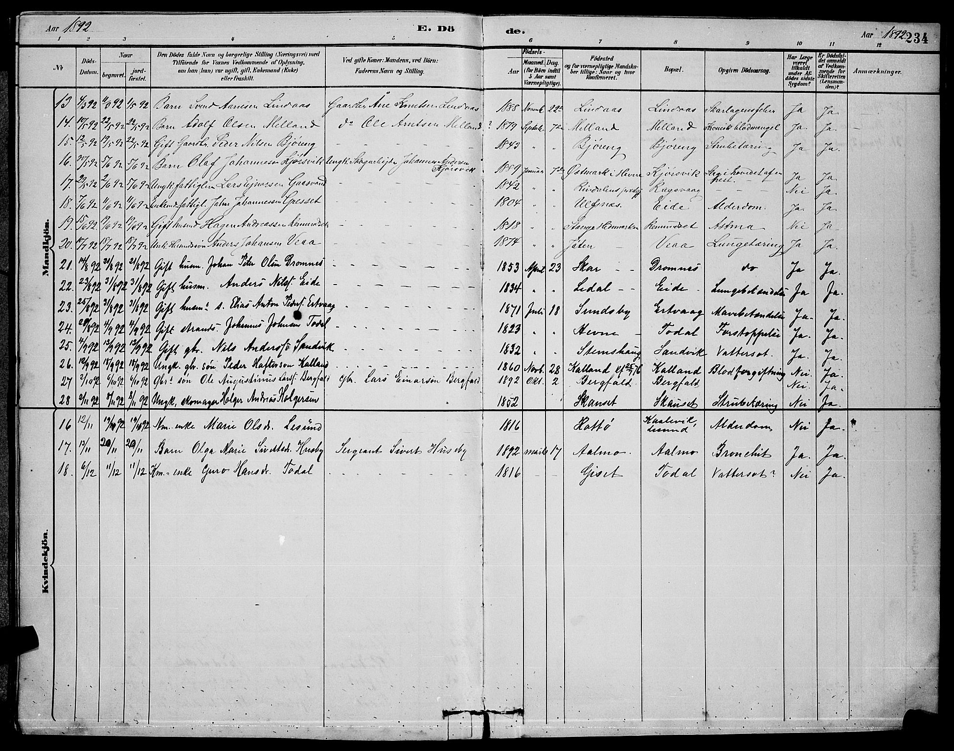 Ministerialprotokoller, klokkerbøker og fødselsregistre - Møre og Romsdal, AV/SAT-A-1454/578/L0909: Klokkerbok nr. 578C02, 1882-1900, s. 234