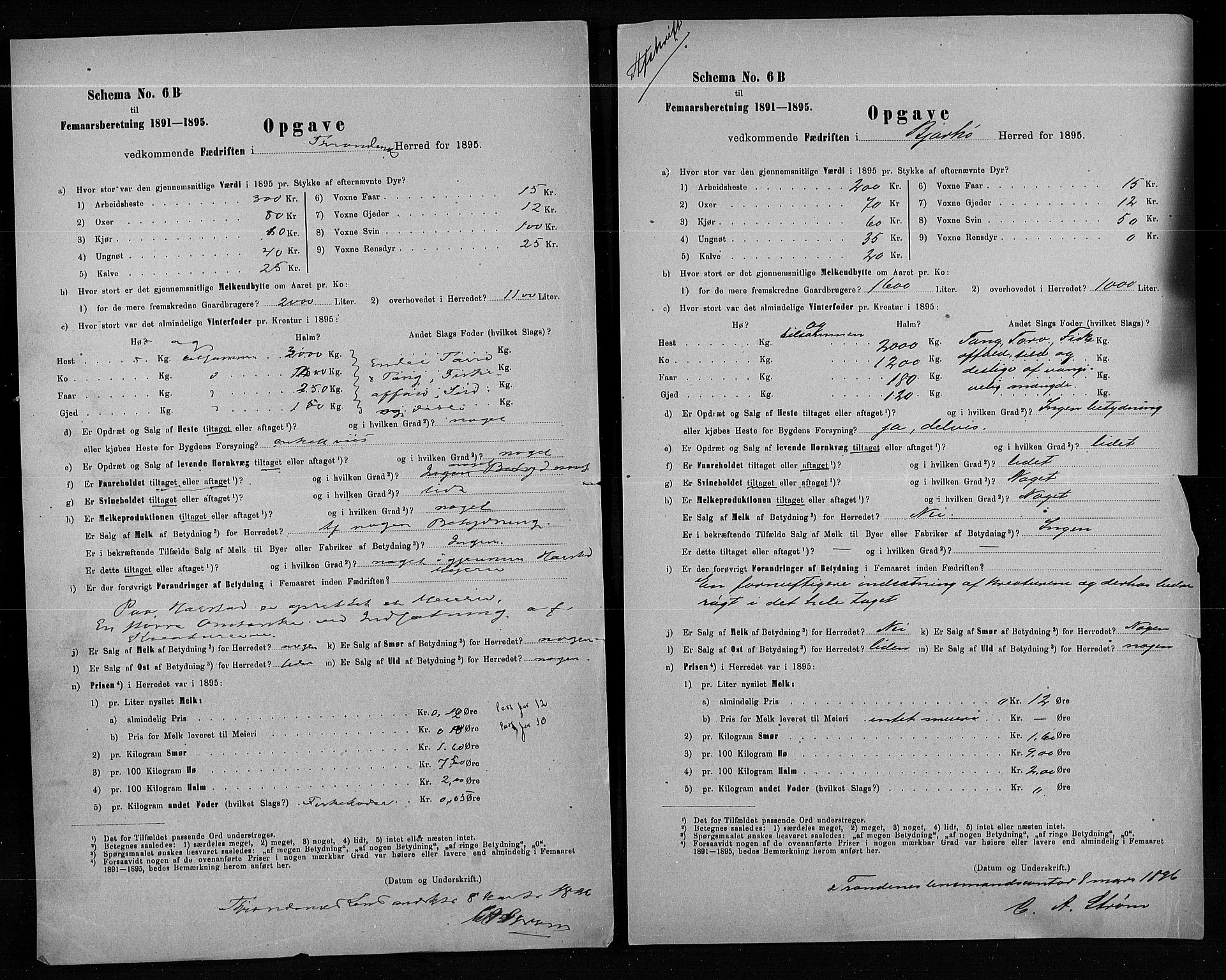 Statistisk sentralbyrå, Næringsøkonomiske emner, Generelt - Amtmennenes femårsberetninger, AV/RA-S-2233/F/Fa/L0080: --, 1895, s. 242