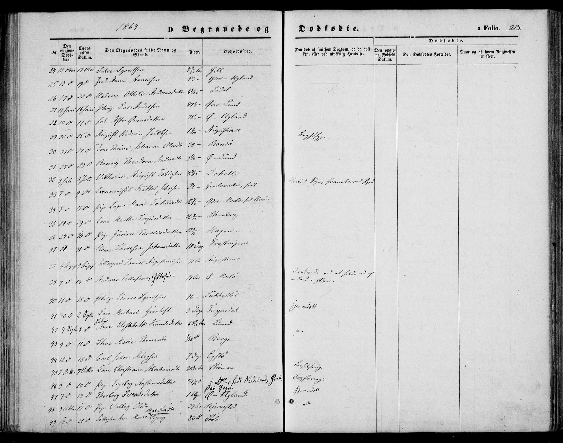 Oddernes sokneprestkontor, SAK/1111-0033/F/Fa/Faa/L0008: Ministerialbok nr. A 8, 1864-1880, s. 213