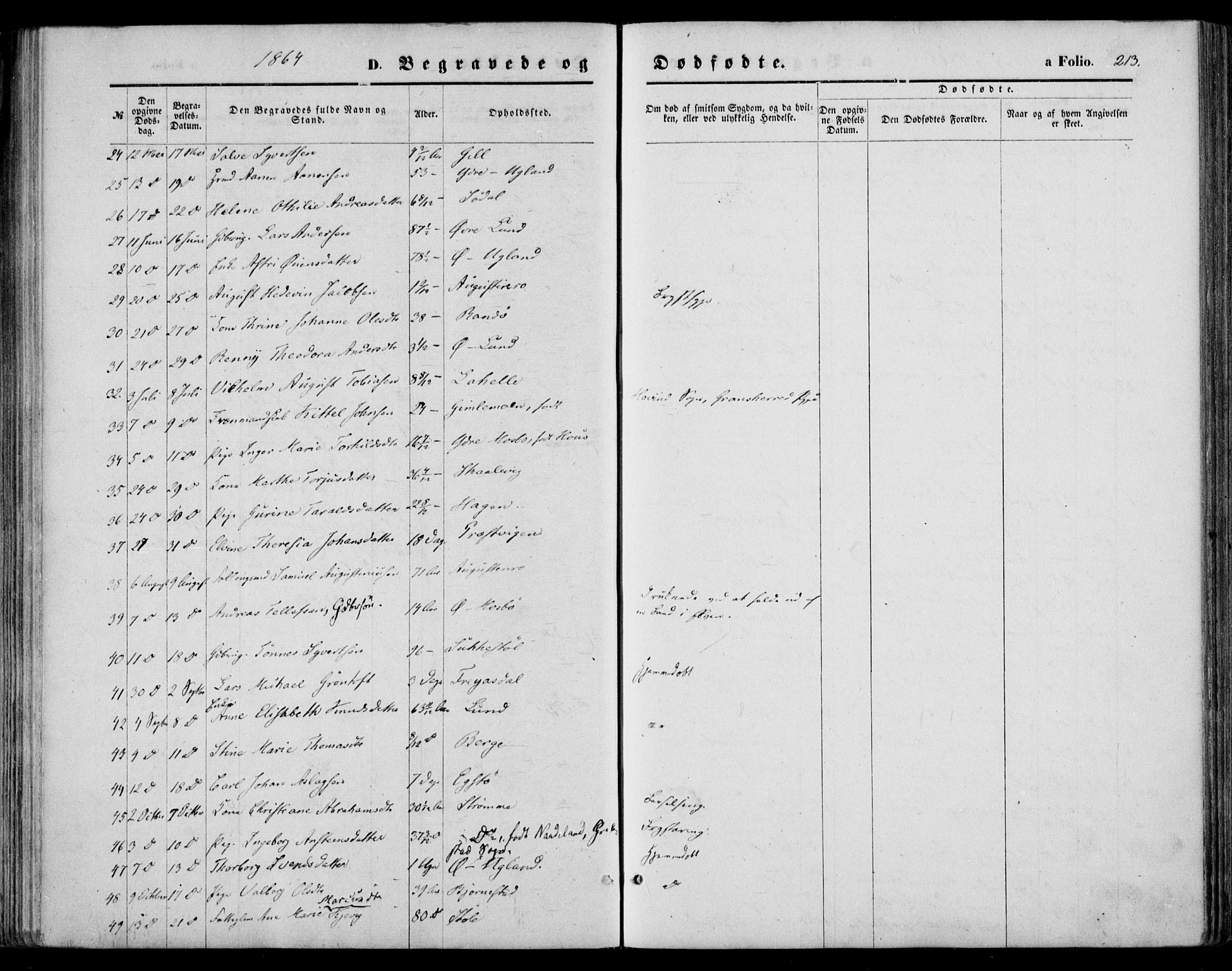 Oddernes sokneprestkontor, AV/SAK-1111-0033/F/Fa/Faa/L0008: Ministerialbok nr. A 8, 1864-1880, s. 213