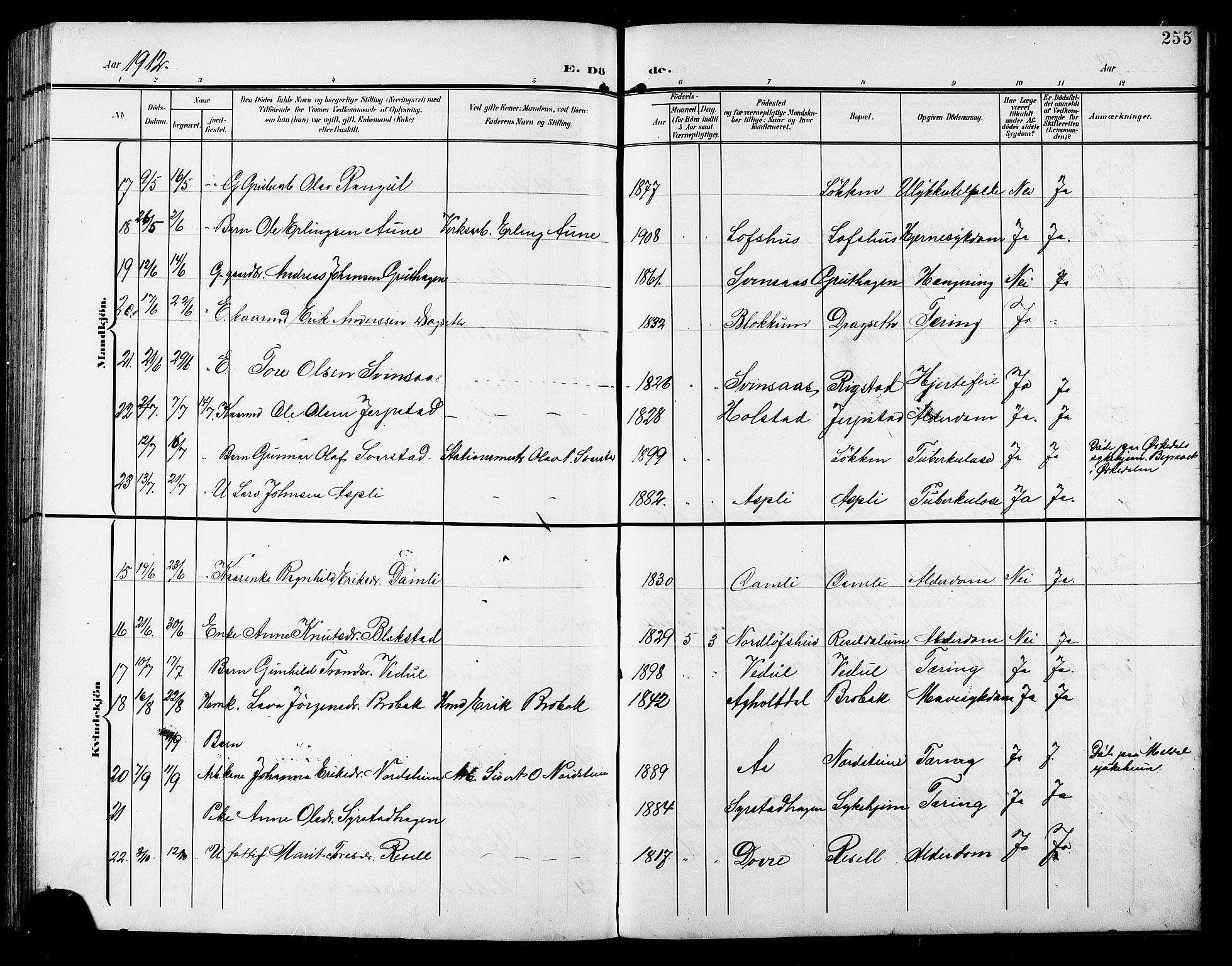 Ministerialprotokoller, klokkerbøker og fødselsregistre - Sør-Trøndelag, AV/SAT-A-1456/672/L0864: Klokkerbok nr. 672C03, 1902-1914, s. 255