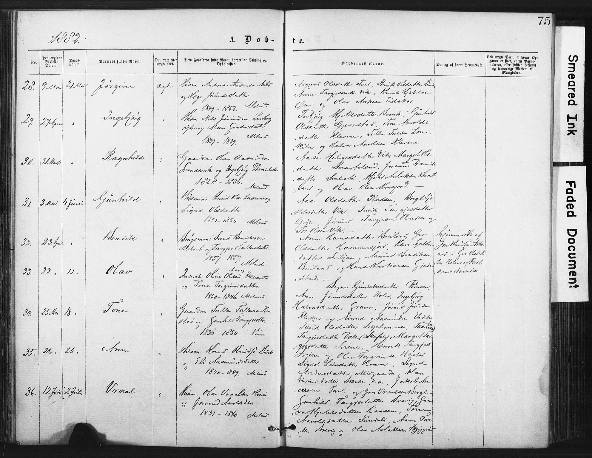 Fyresdal kirkebøker, AV/SAKO-A-263/F/Fa/L0006: Ministerialbok nr. I 6, 1872-1886, s. 75