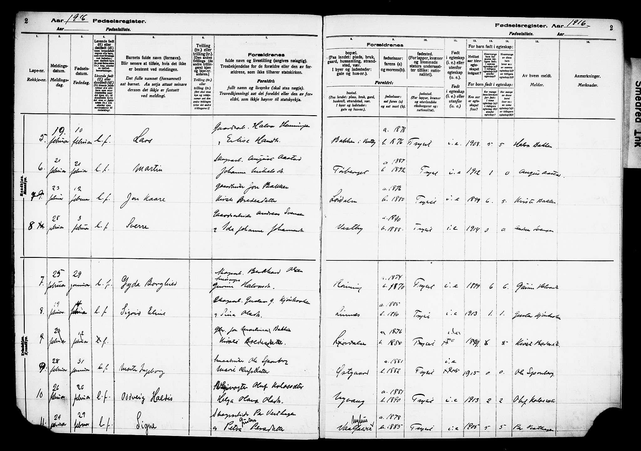 Trysil prestekontor, AV/SAH-PREST-046/I/Id/Ida/L0001: Fødselsregister nr. I 1, 1916-1927, s. 2