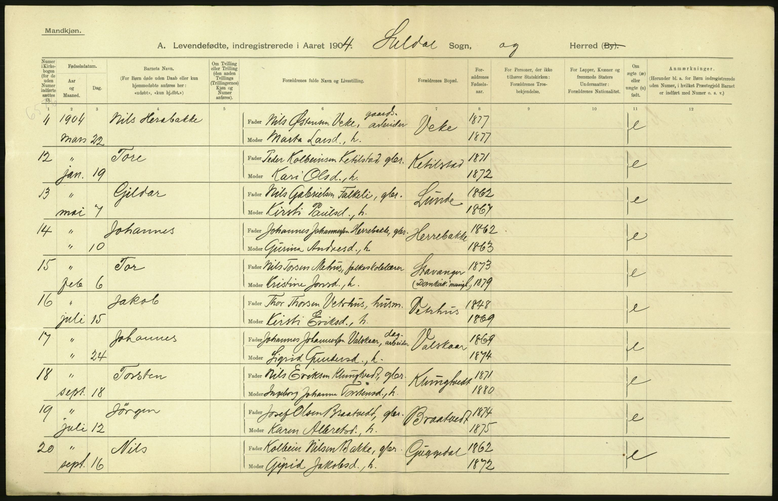 Statistisk sentralbyrå, Sosiodemografiske emner, Befolkning, AV/RA-S-2228/D/Df/Dfa/Dfab/L0012: Stavanger amt: Fødte, gifte, døde, 1904, s. 334