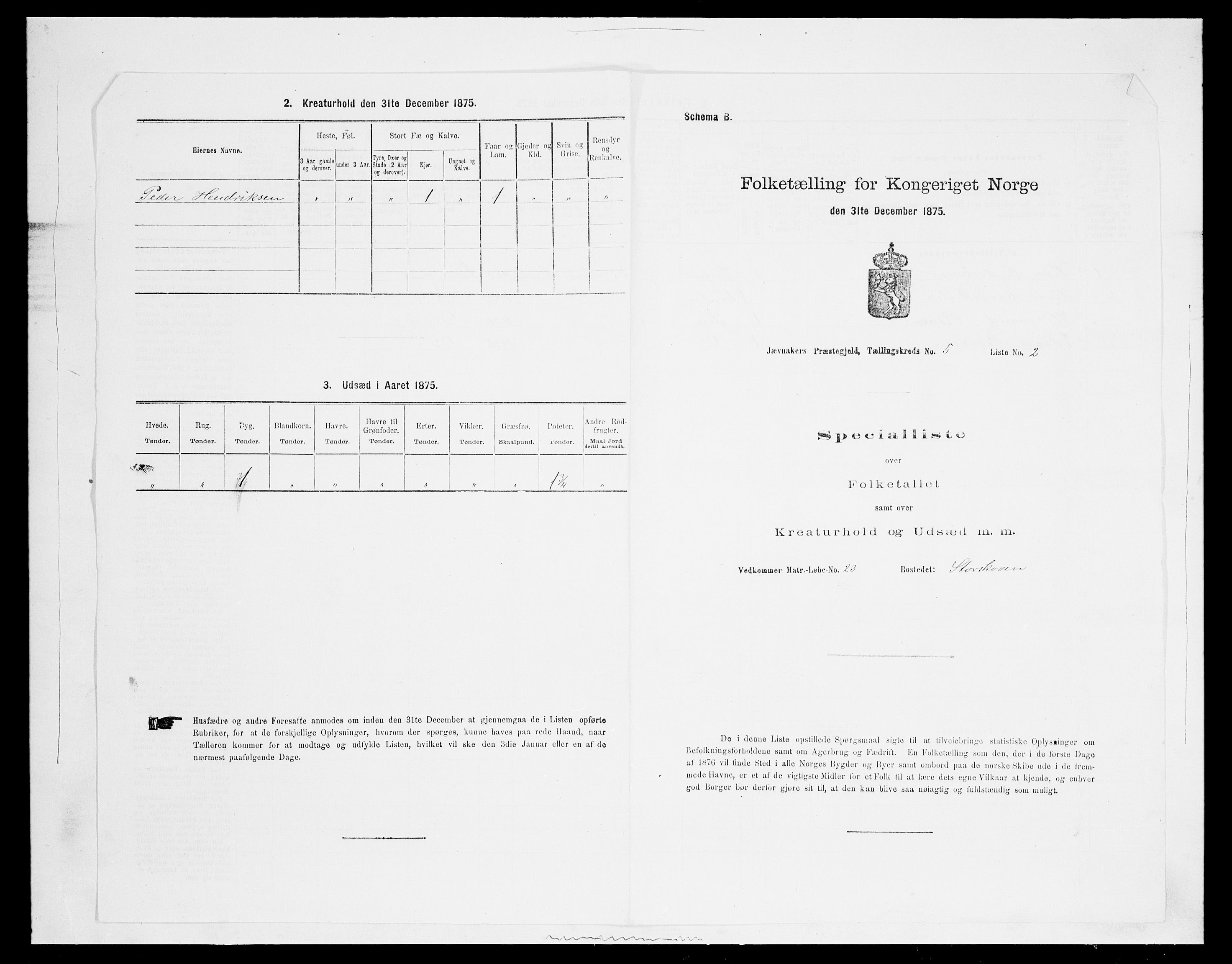SAH, Folketelling 1875 for 0532P Jevnaker prestegjeld, 1875, s. 810