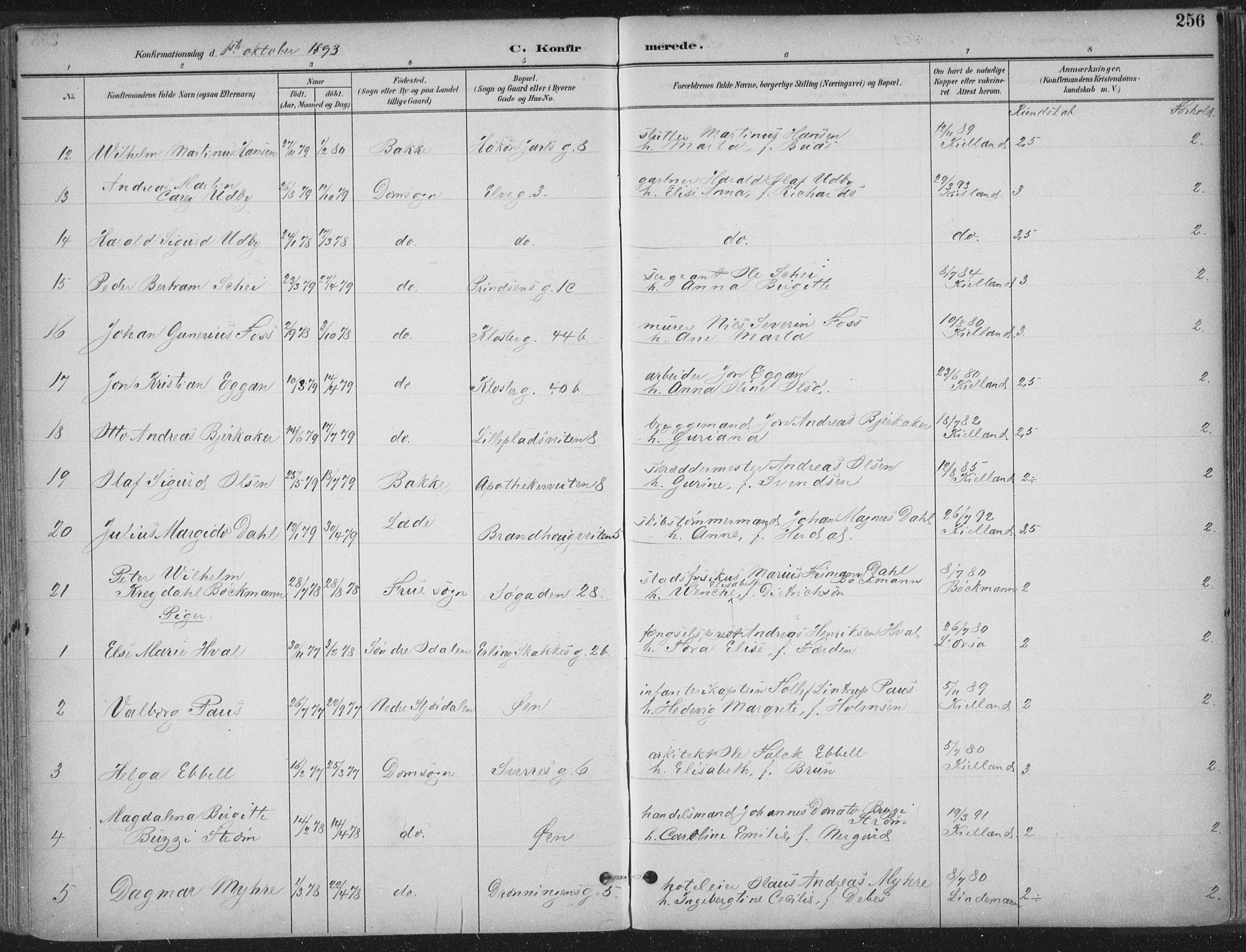 Ministerialprotokoller, klokkerbøker og fødselsregistre - Sør-Trøndelag, AV/SAT-A-1456/601/L0062: Ministerialbok nr. 601A30, 1891-1911, s. 256