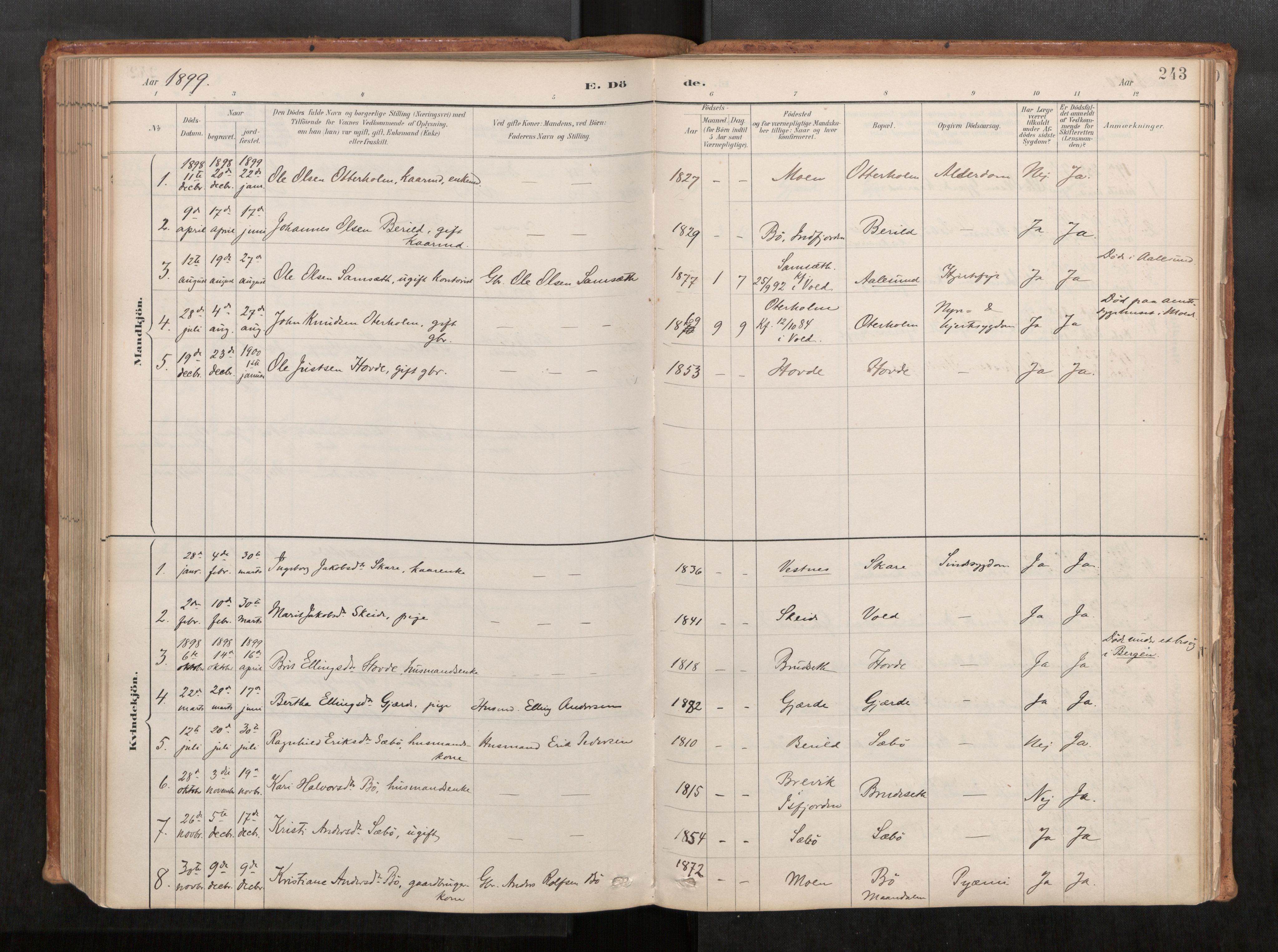 Ministerialprotokoller, klokkerbøker og fødselsregistre - Møre og Romsdal, SAT/A-1454/543/L0568: Ministerialbok nr. 543A03, 1885-1915, s. 243