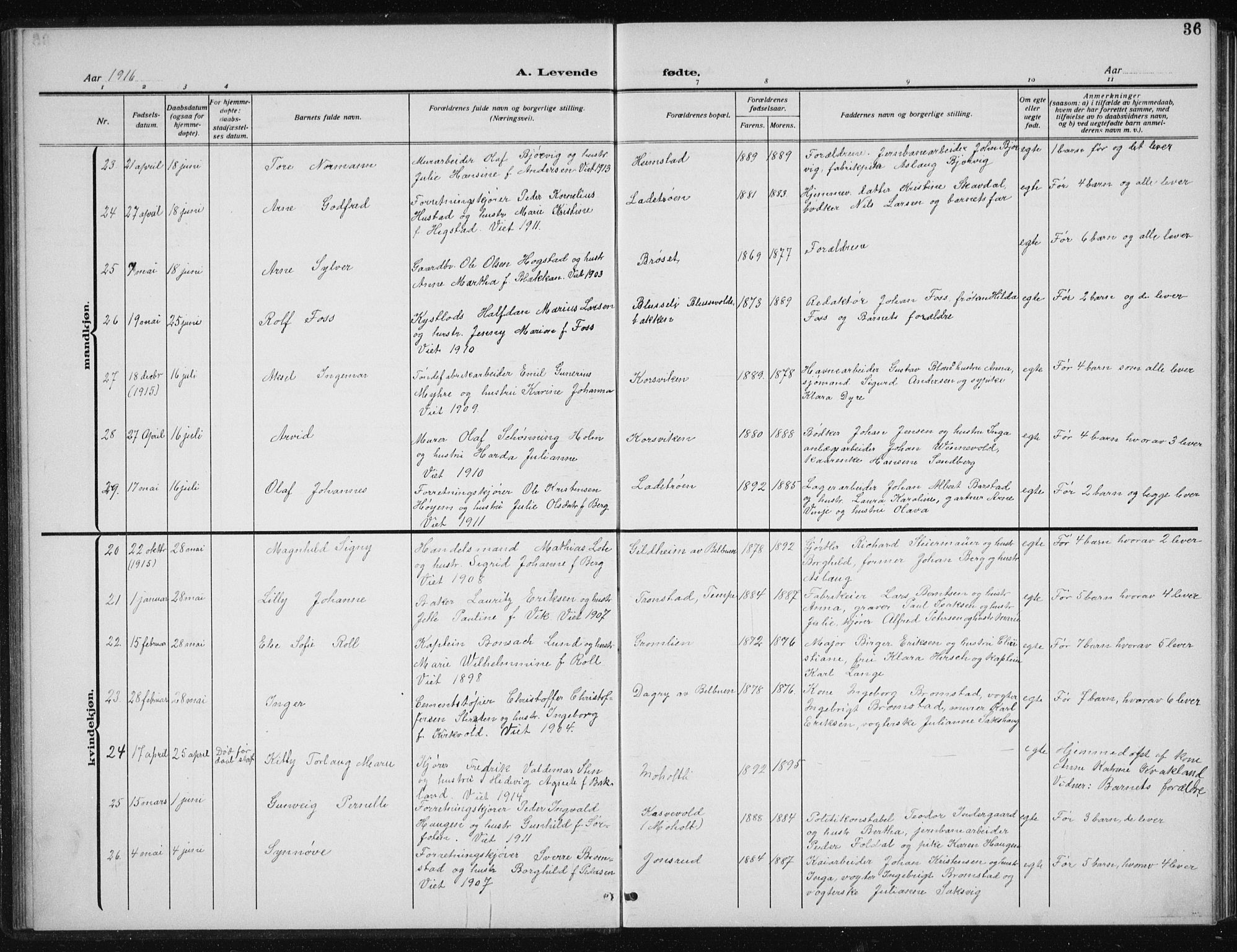 Ministerialprotokoller, klokkerbøker og fødselsregistre - Sør-Trøndelag, AV/SAT-A-1456/606/L0314: Klokkerbok nr. 606C10, 1911-1937, s. 36