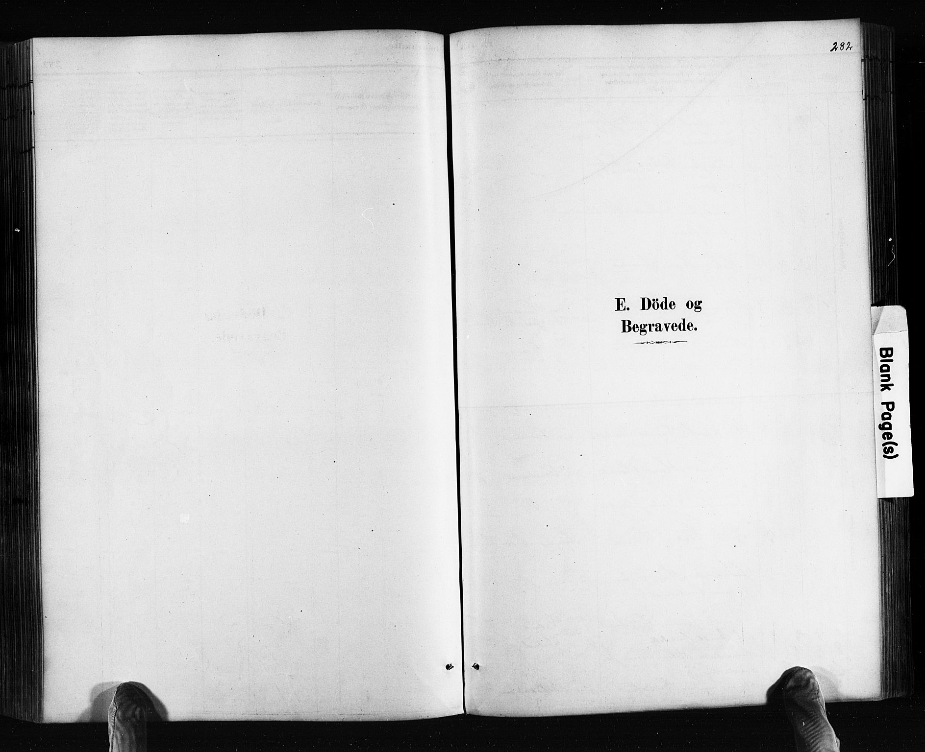 Søndeled sokneprestkontor, AV/SAK-1111-0038/F/Fa/L0004: Ministerialbok nr. A 4, 1880-1889, s. 263