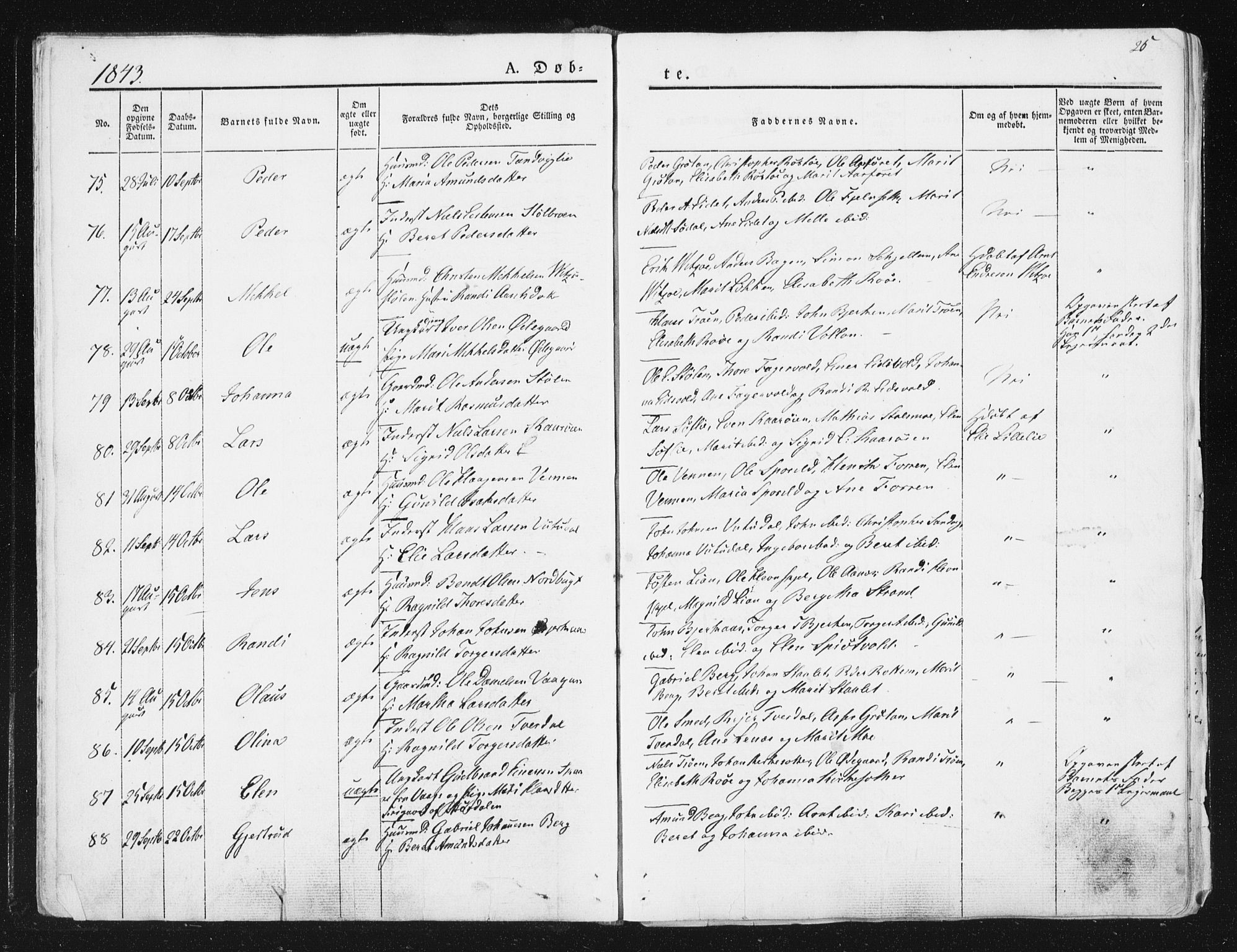 Ministerialprotokoller, klokkerbøker og fødselsregistre - Sør-Trøndelag, SAT/A-1456/630/L0493: Ministerialbok nr. 630A06, 1841-1851, s. 25