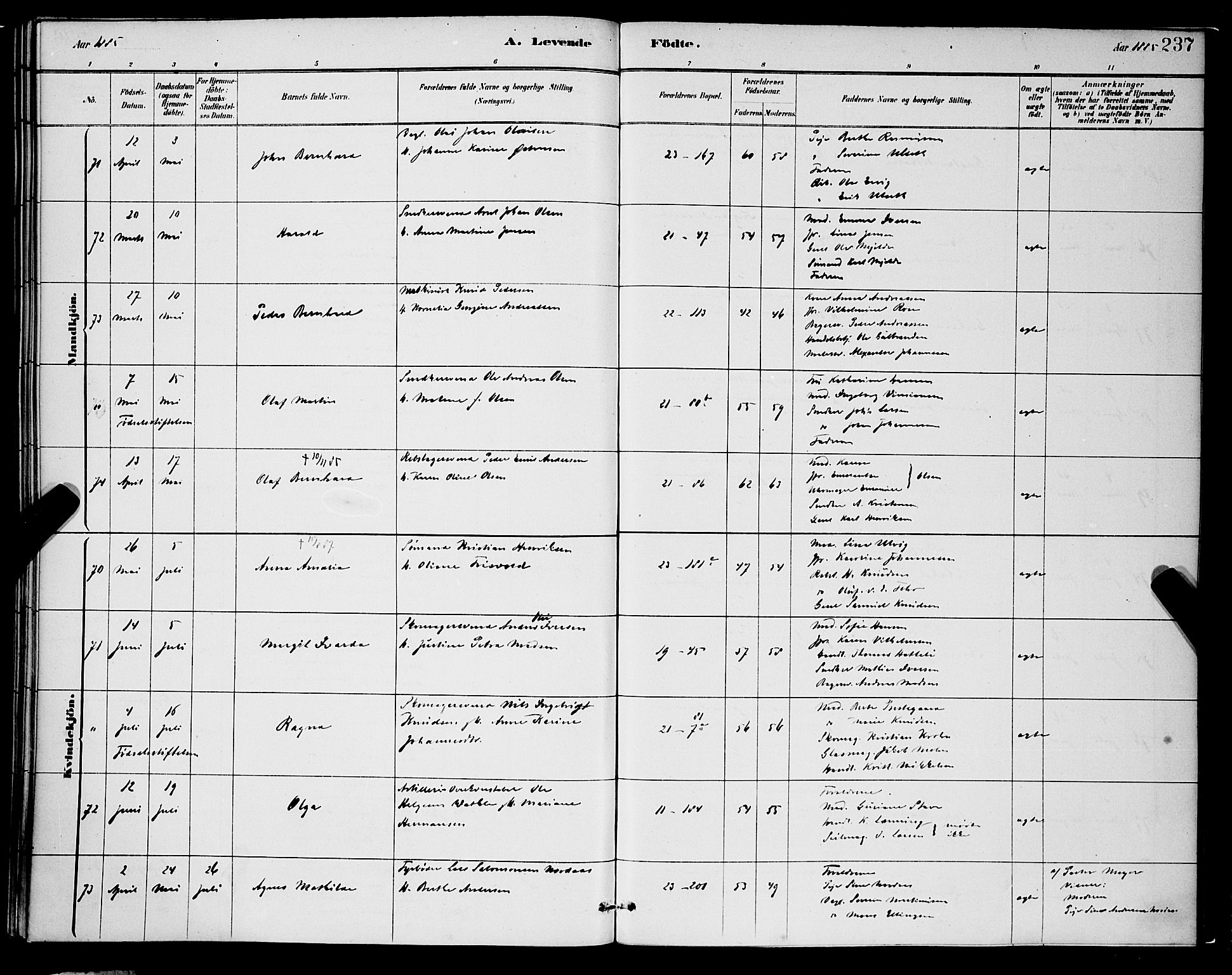 Korskirken sokneprestembete, AV/SAB-A-76101/H/Hab: Klokkerbok nr. B 8, 1878-1887, s. 237