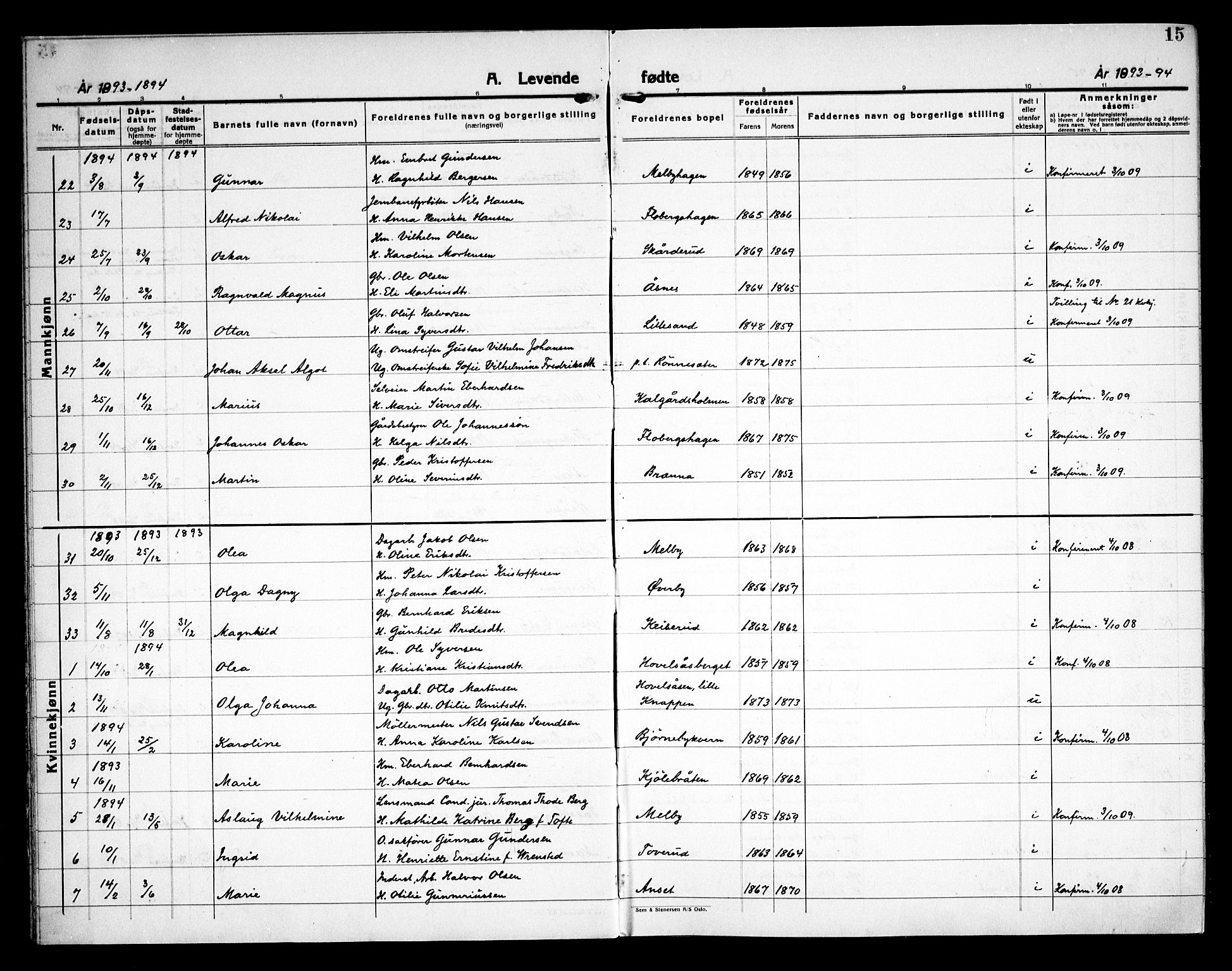 Åsnes prestekontor, AV/SAH-PREST-042/H/Ha/Haa/L0000C: Ministerialbok nr. 0A, 1890-1929, s. 15