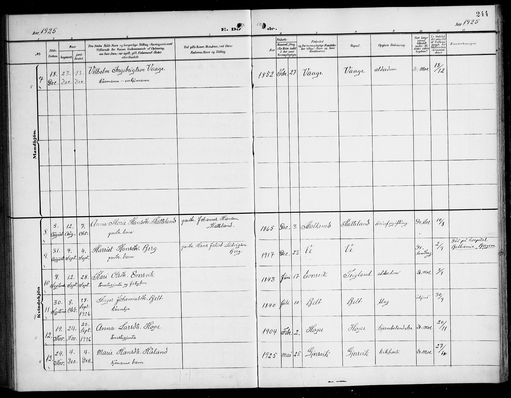 Tysnes sokneprestembete, AV/SAB-A-78601/H/Haa: Ministerialbok nr. B 2, 1907-1925, s. 244