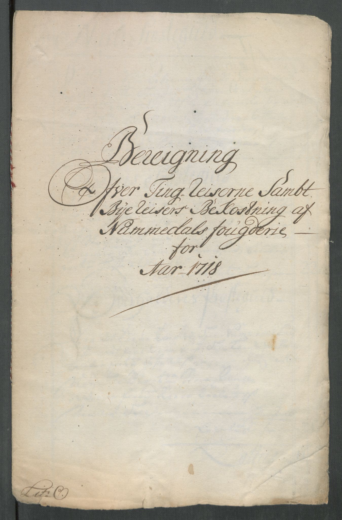 Rentekammeret inntil 1814, Reviderte regnskaper, Fogderegnskap, RA/EA-4092/R64/L4439: Fogderegnskap Namdal, 1718, s. 251