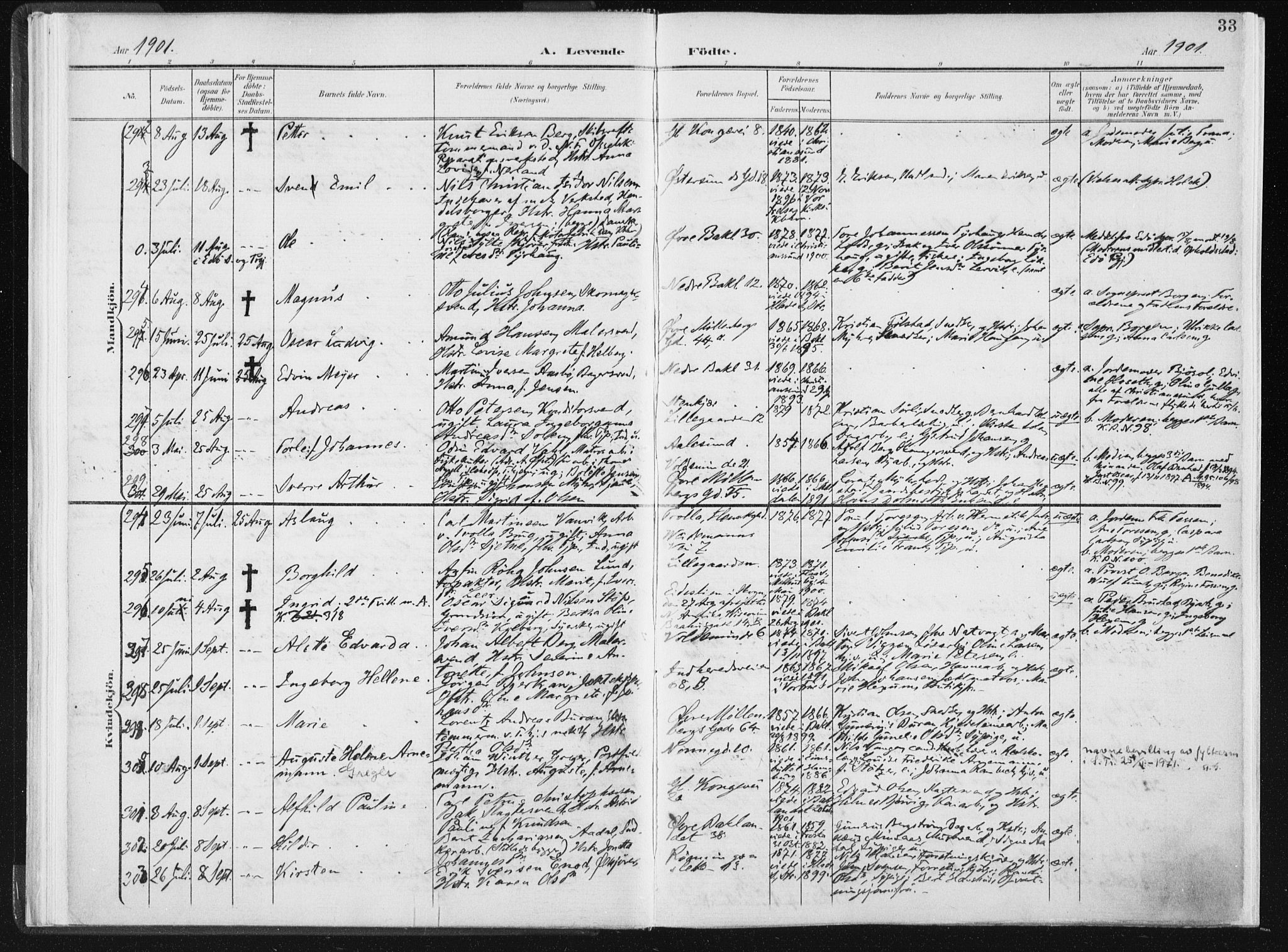 Ministerialprotokoller, klokkerbøker og fødselsregistre - Sør-Trøndelag, AV/SAT-A-1456/604/L0199: Ministerialbok nr. 604A20I, 1901-1906, s. 33