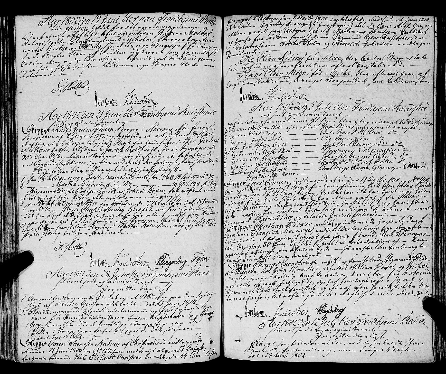 Trondheim magistrat, SAT/A-4372/A/Aa/L0018: Rådstueprotokoller, 1793-1826, s. 213