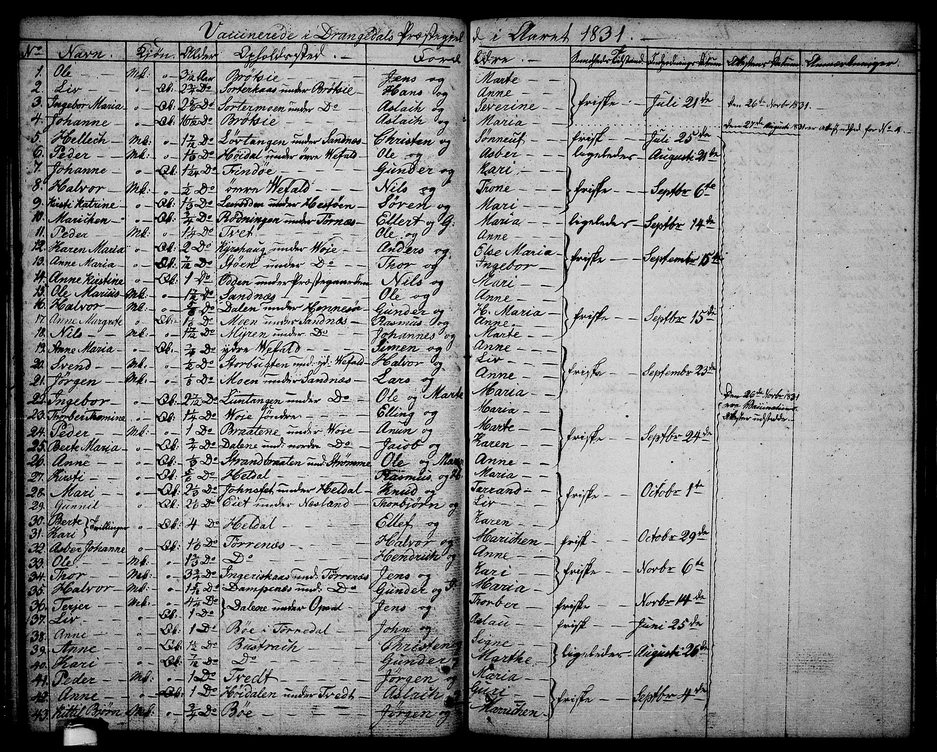 Drangedal kirkebøker, AV/SAKO-A-258/F/Fa/L0004: Ministerialbok nr. 4, 1802-1814