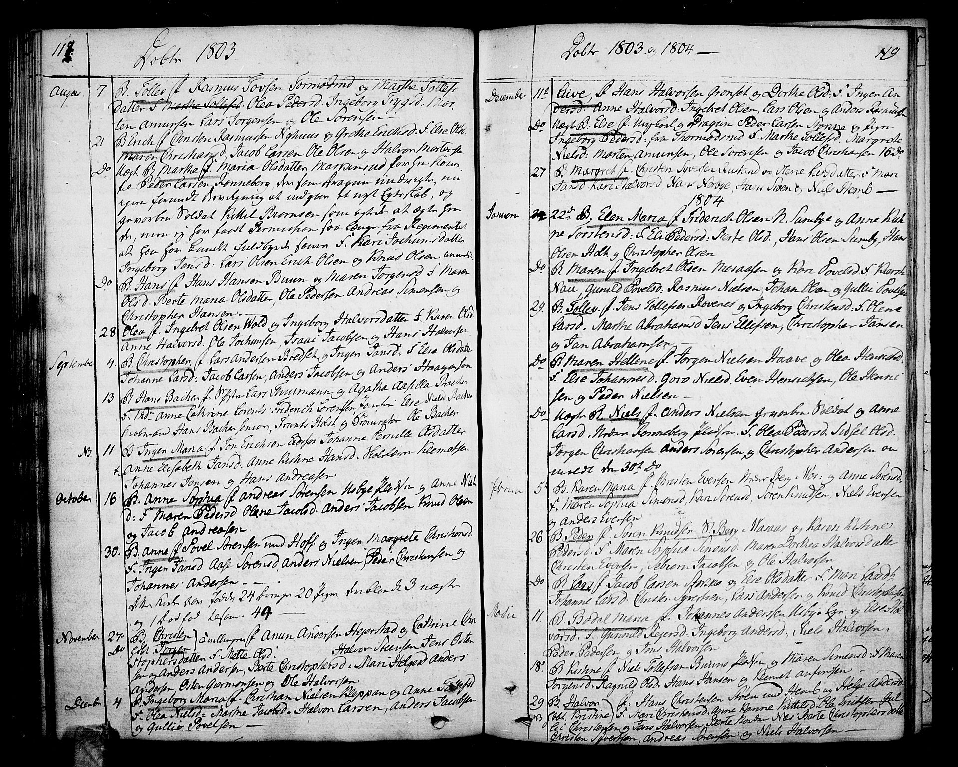Hof kirkebøker, AV/SAKO-A-64/F/Fa/L0003: Ministerialbok nr. I 3, 1782-1814, s. 118-119