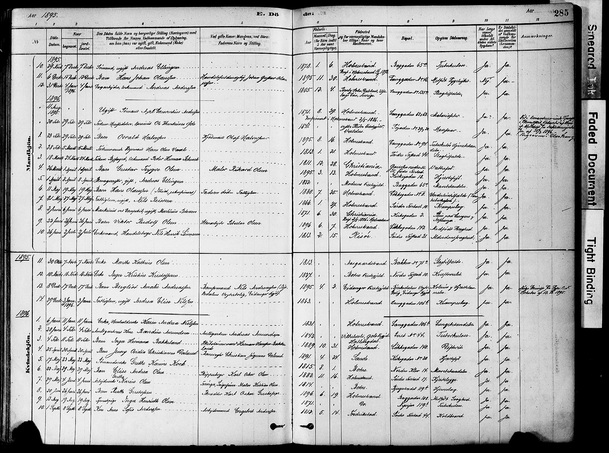 Holmestrand kirkebøker, SAKO/A-346/F/Fa/L0004: Ministerialbok nr. 4, 1880-1901, s. 285