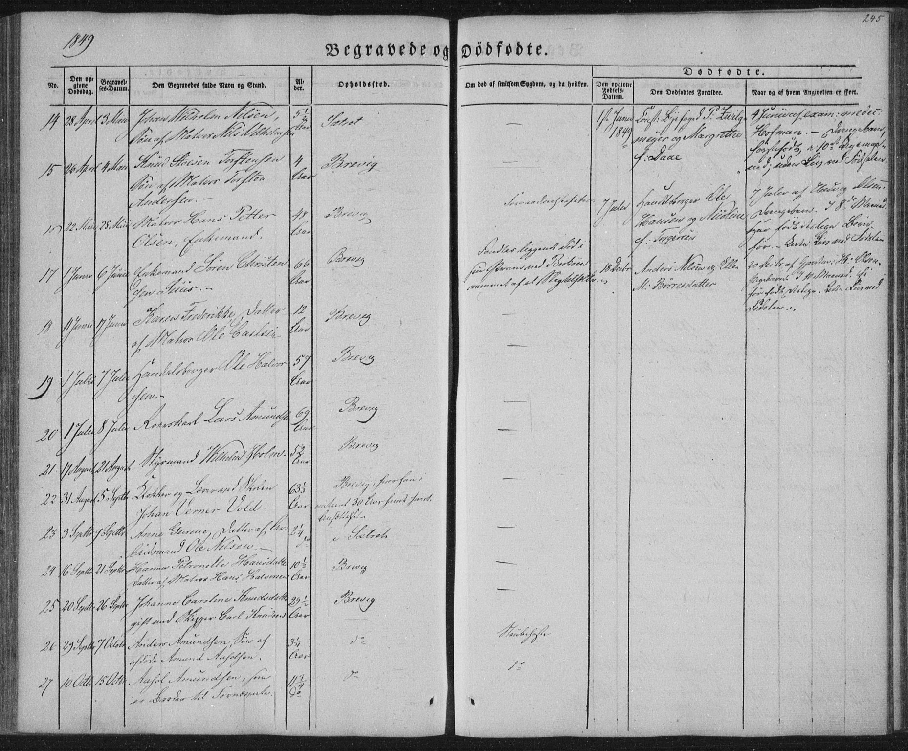 Brevik kirkebøker, AV/SAKO-A-255/F/Fa/L0005: Ministerialbok nr. 5, 1847-1865, s. 245