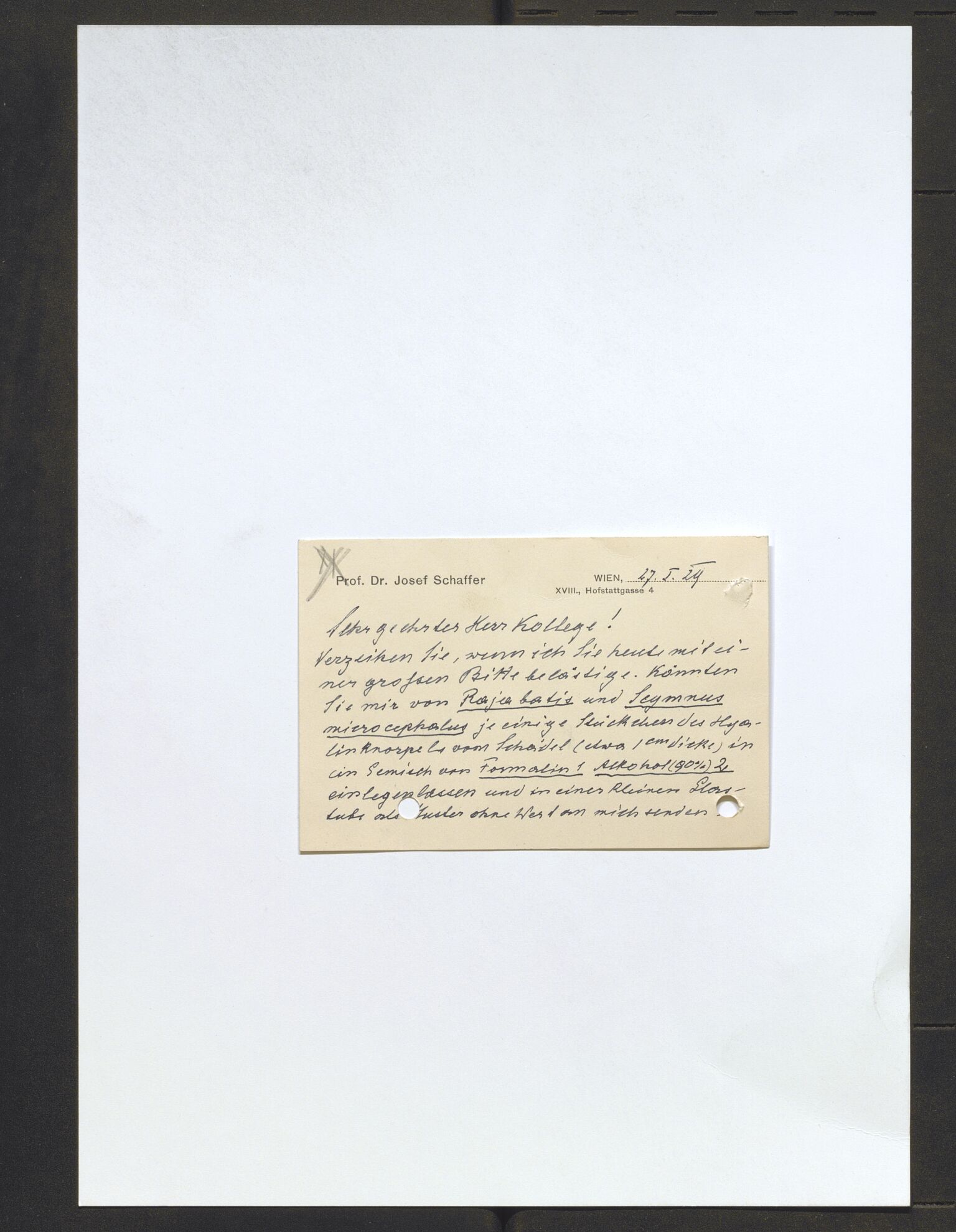 Bergens Museum, AV/SAB-A-17301/13/D/L0002: Korrespondanse , 1928-1940, s. 235
