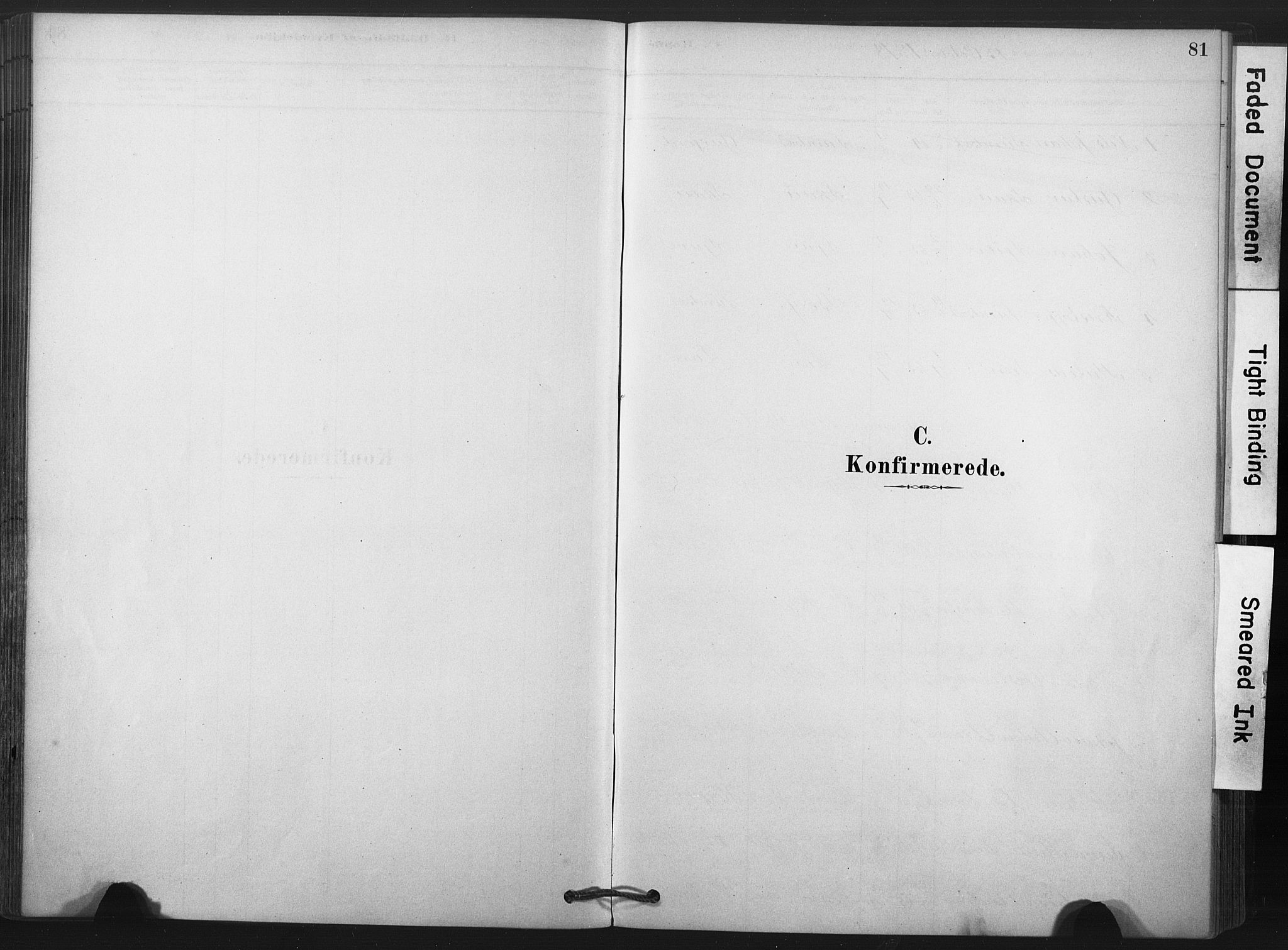 Andebu kirkebøker, AV/SAKO-A-336/F/Fb/L0001: Ministerialbok nr. II 1, 1878-1909, s. 81