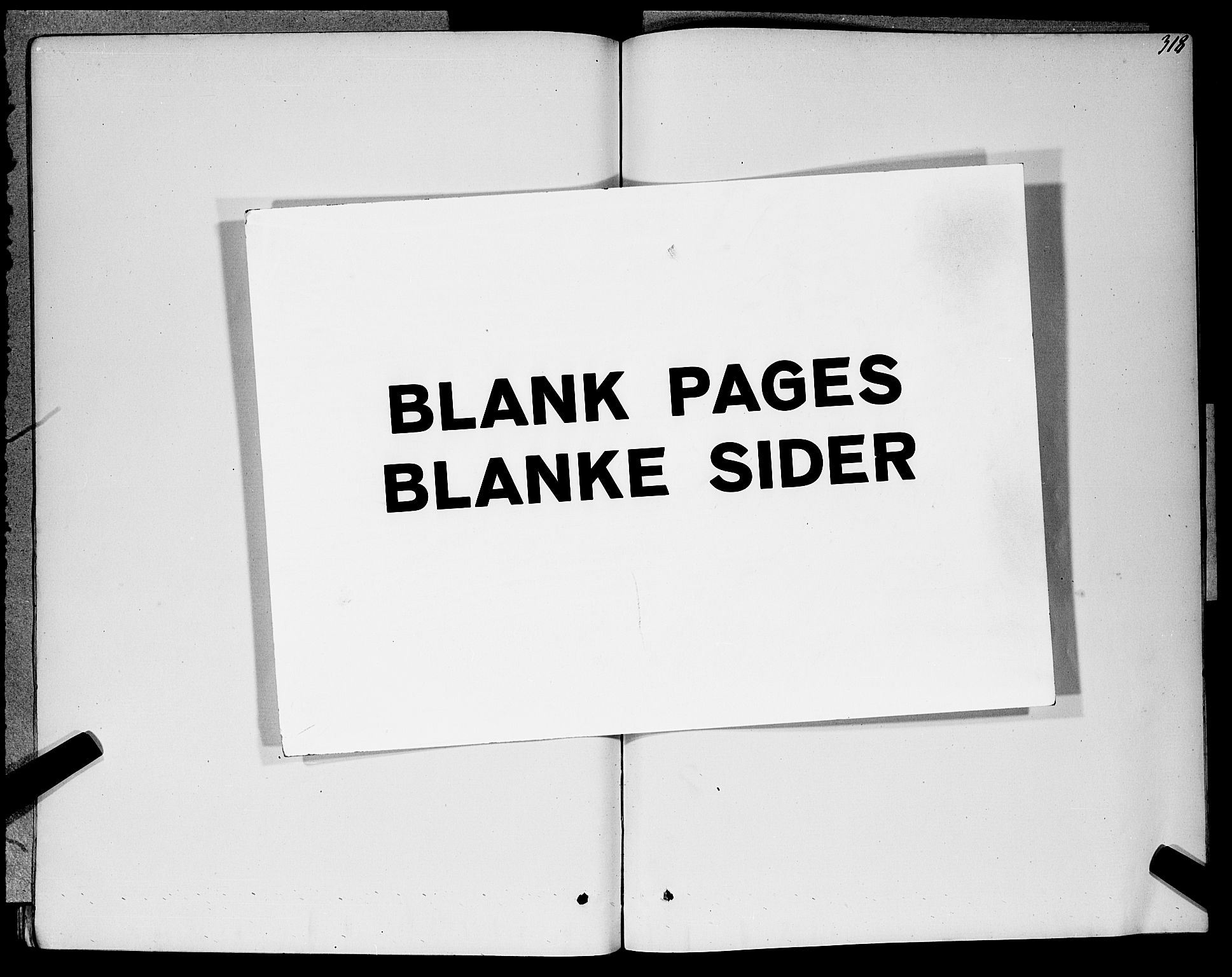 Ramnes kirkebøker, AV/SAKO-A-314/G/Ga/L0003: Klokkerbok nr. I 3, 1870-1896, s. 318