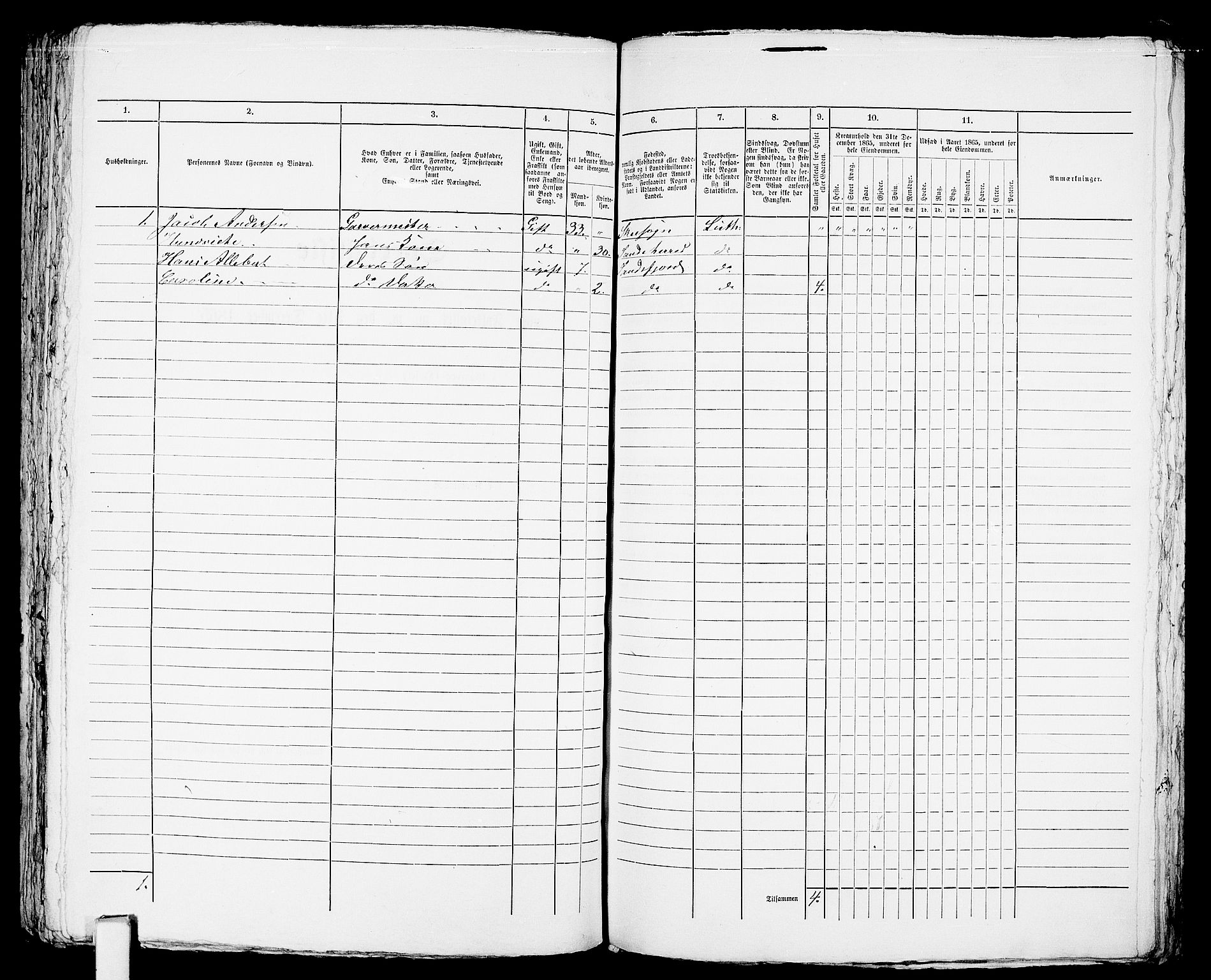 RA, Folketelling 1865 for 0706B Sandeherred prestegjeld, Sandefjord kjøpstad, 1865, s. 316