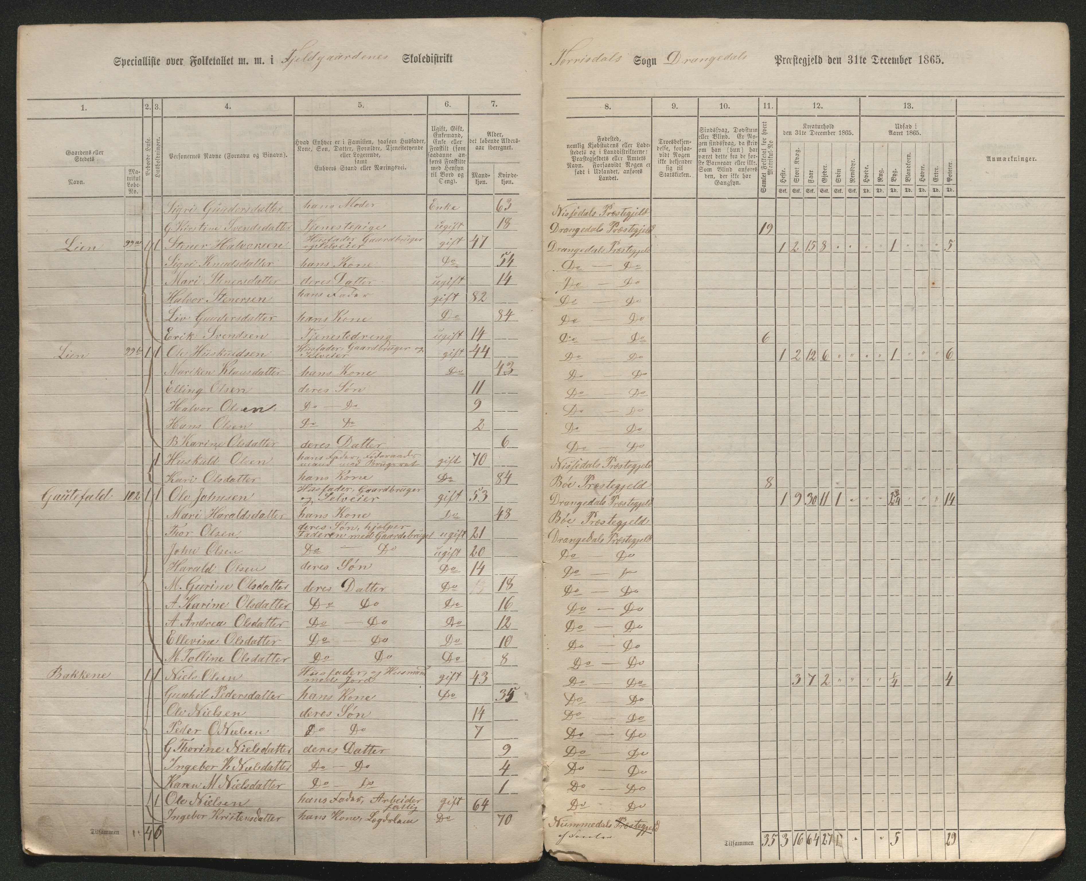 SAKO, Fantetellingen i Drangedal 1865, 1865, s. 132