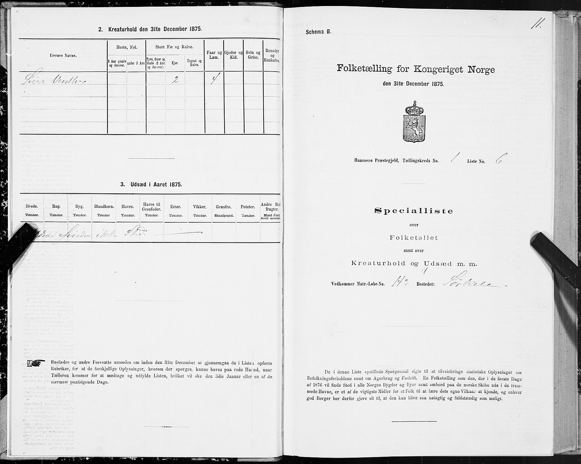 SAT, Folketelling 1875 for 1849P Hamarøy prestegjeld, 1875, s. 1011