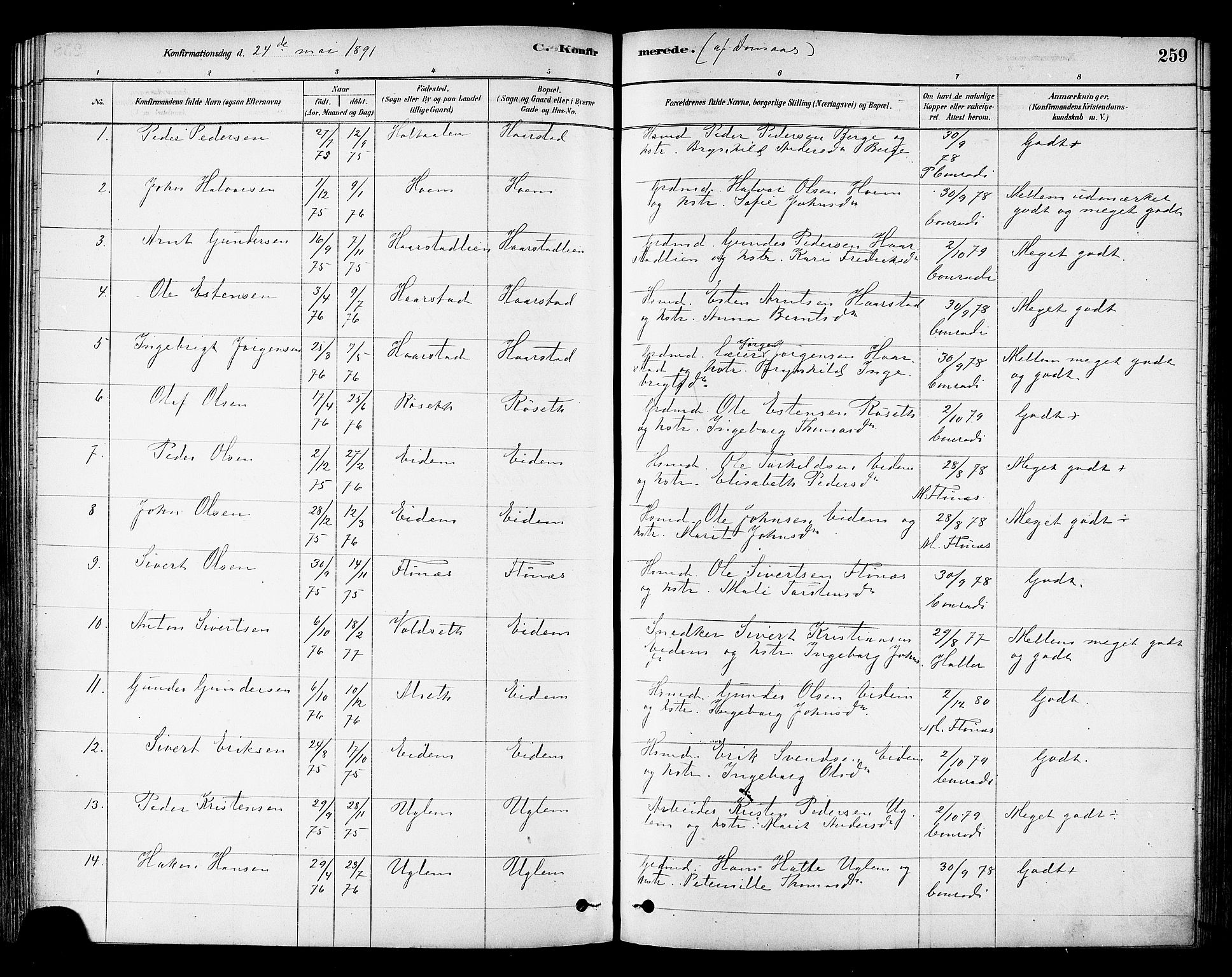 Ministerialprotokoller, klokkerbøker og fødselsregistre - Sør-Trøndelag, SAT/A-1456/695/L1148: Ministerialbok nr. 695A08, 1878-1891, s. 259